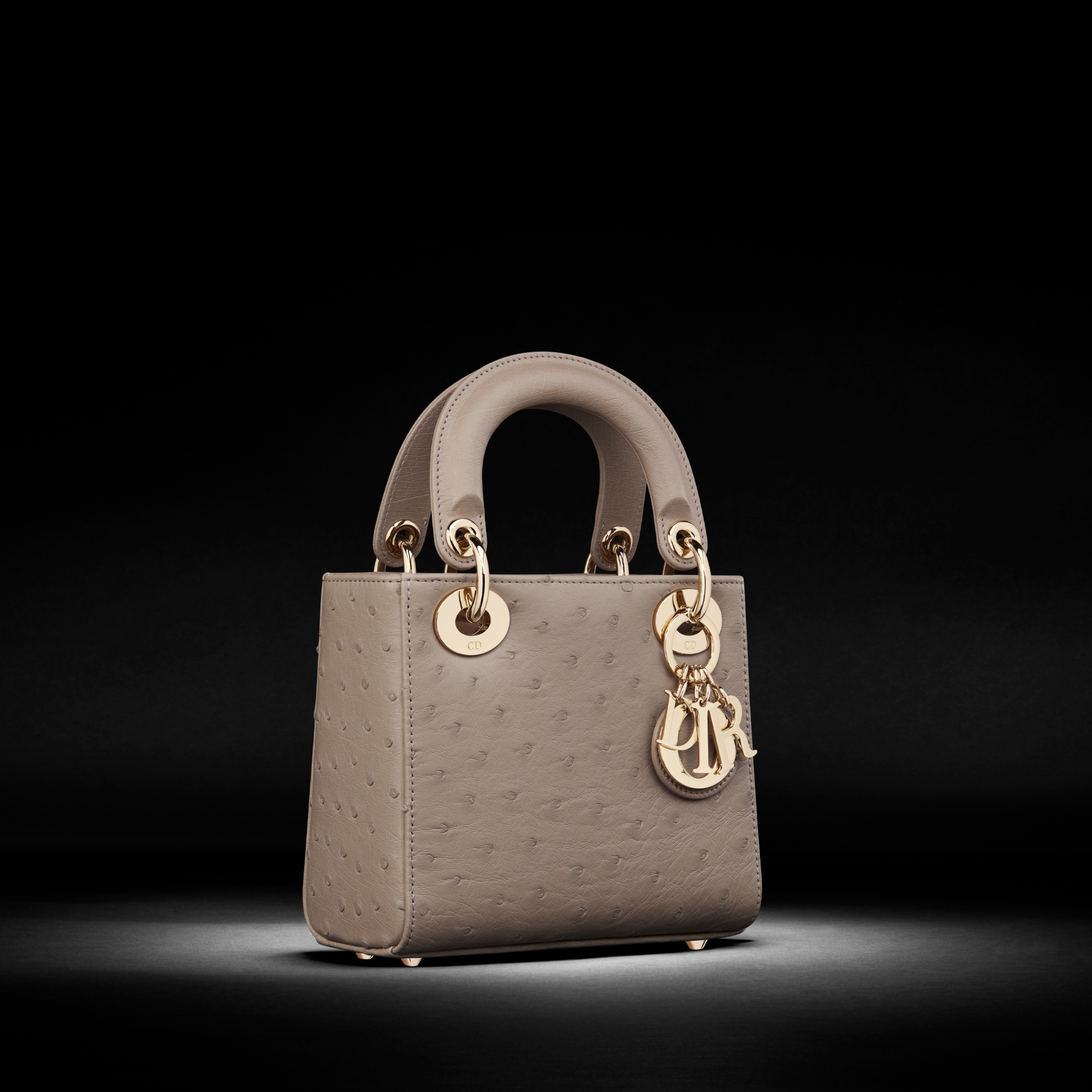 Mini Lady Dior Bag