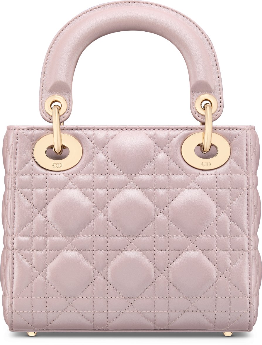 Mini Lady Dior Bag Back view