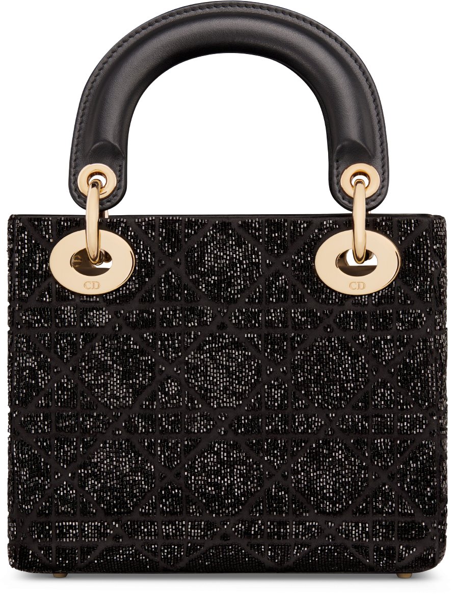 Mini Lady Dior Bag Back view