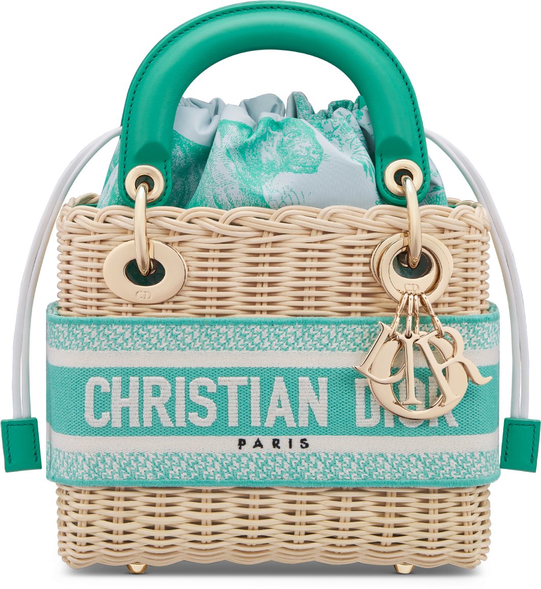 Dior multicolor bag store