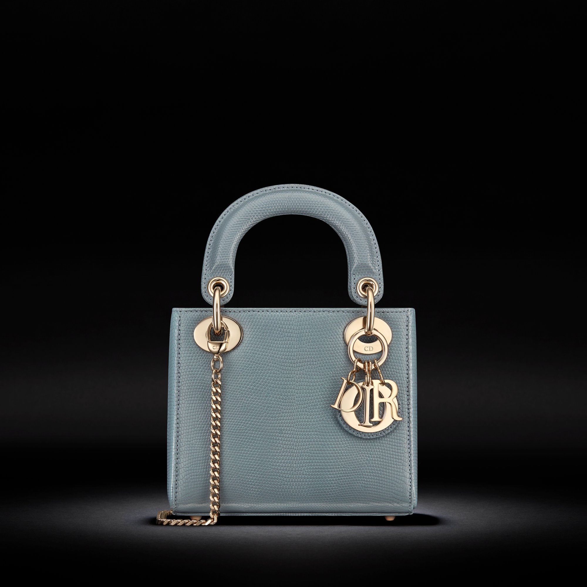 Lady dior lizard price clearance