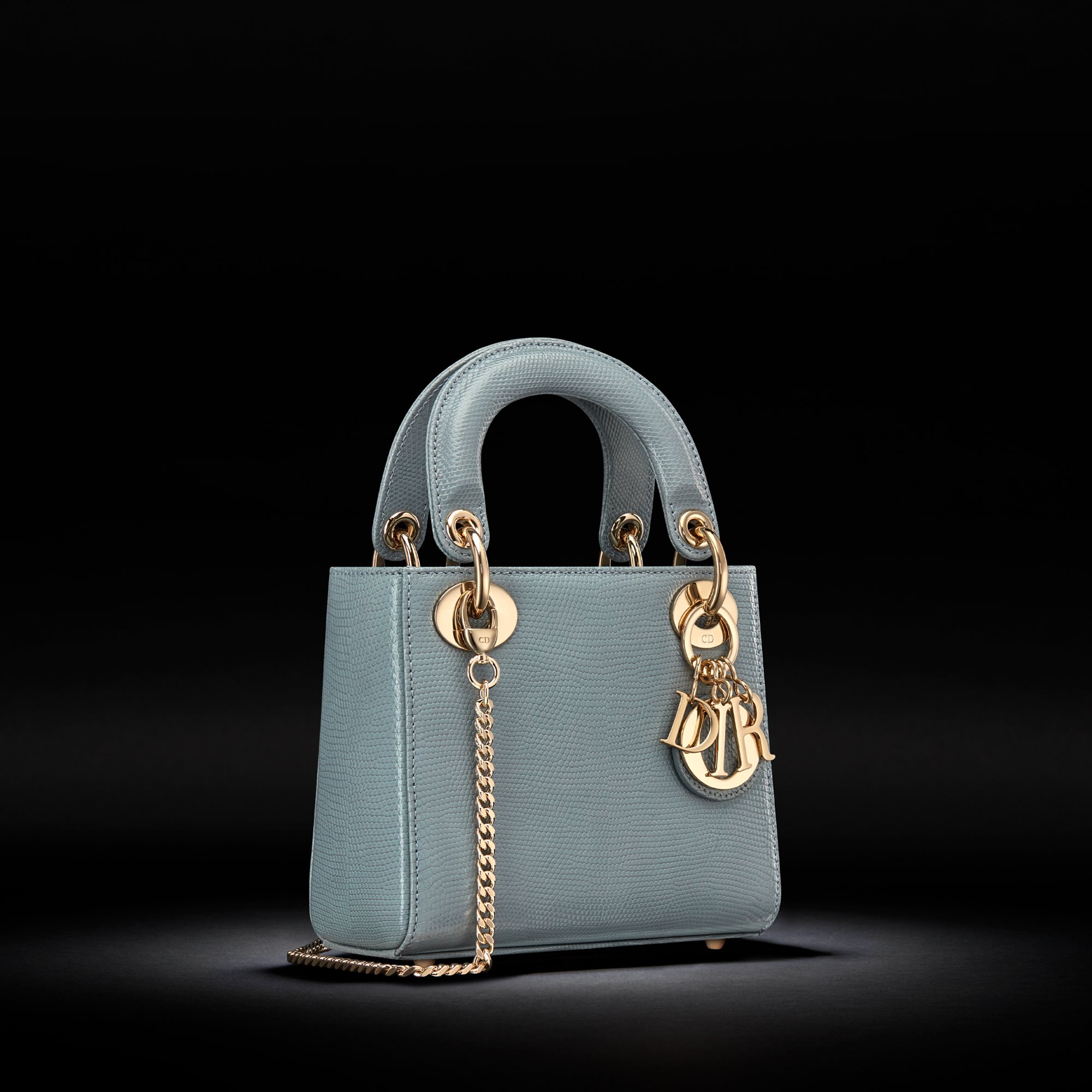 Lady dior lizard skin discount