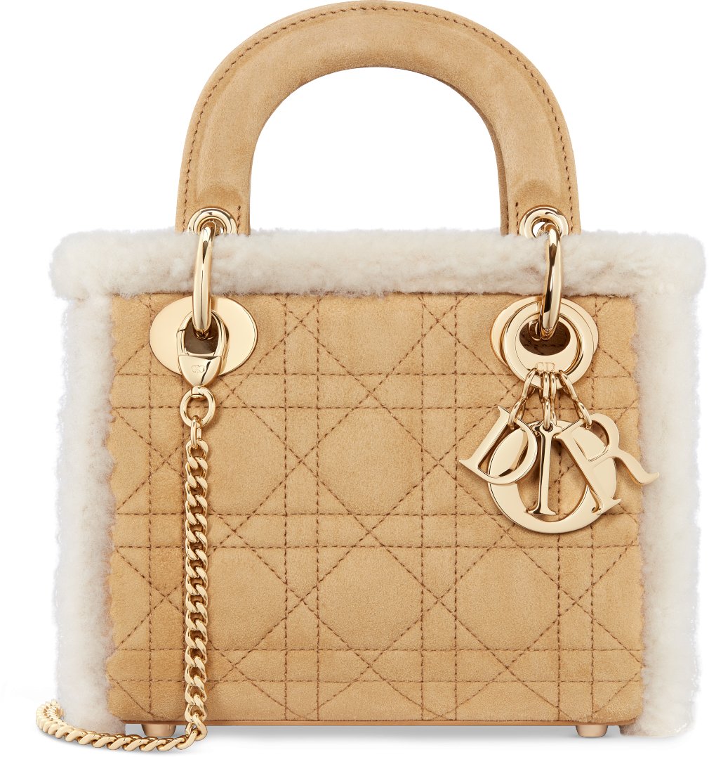 Lady dior collection online