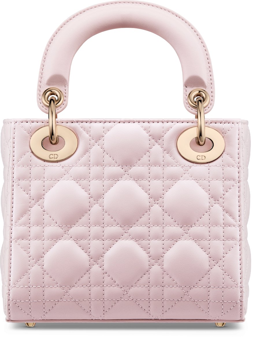 Mini Lady Dior Bag Back view