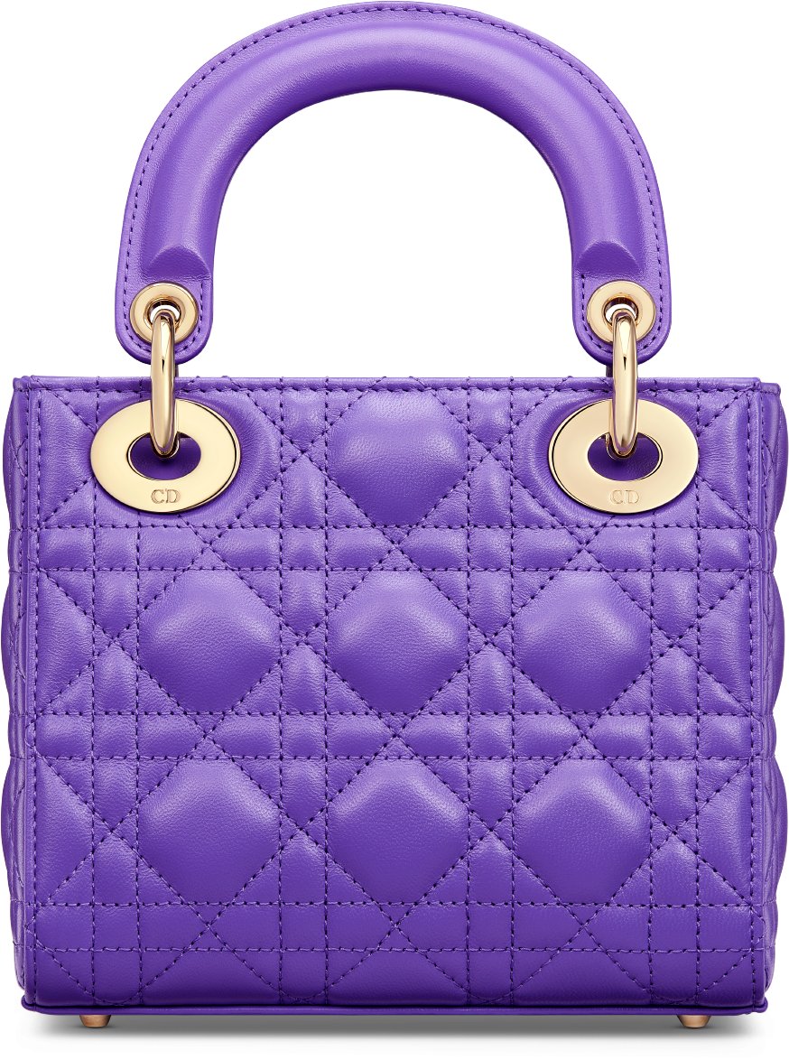 Dior bag purple hotsell