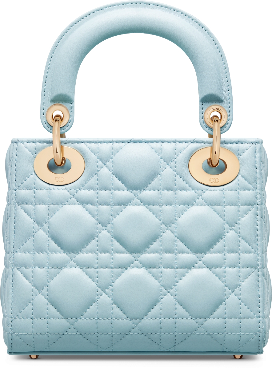 Fashion dior celestial bag