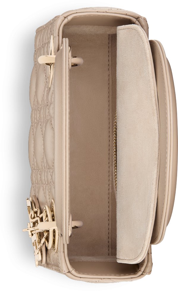 Mini Lady Dior Bag Top shot view