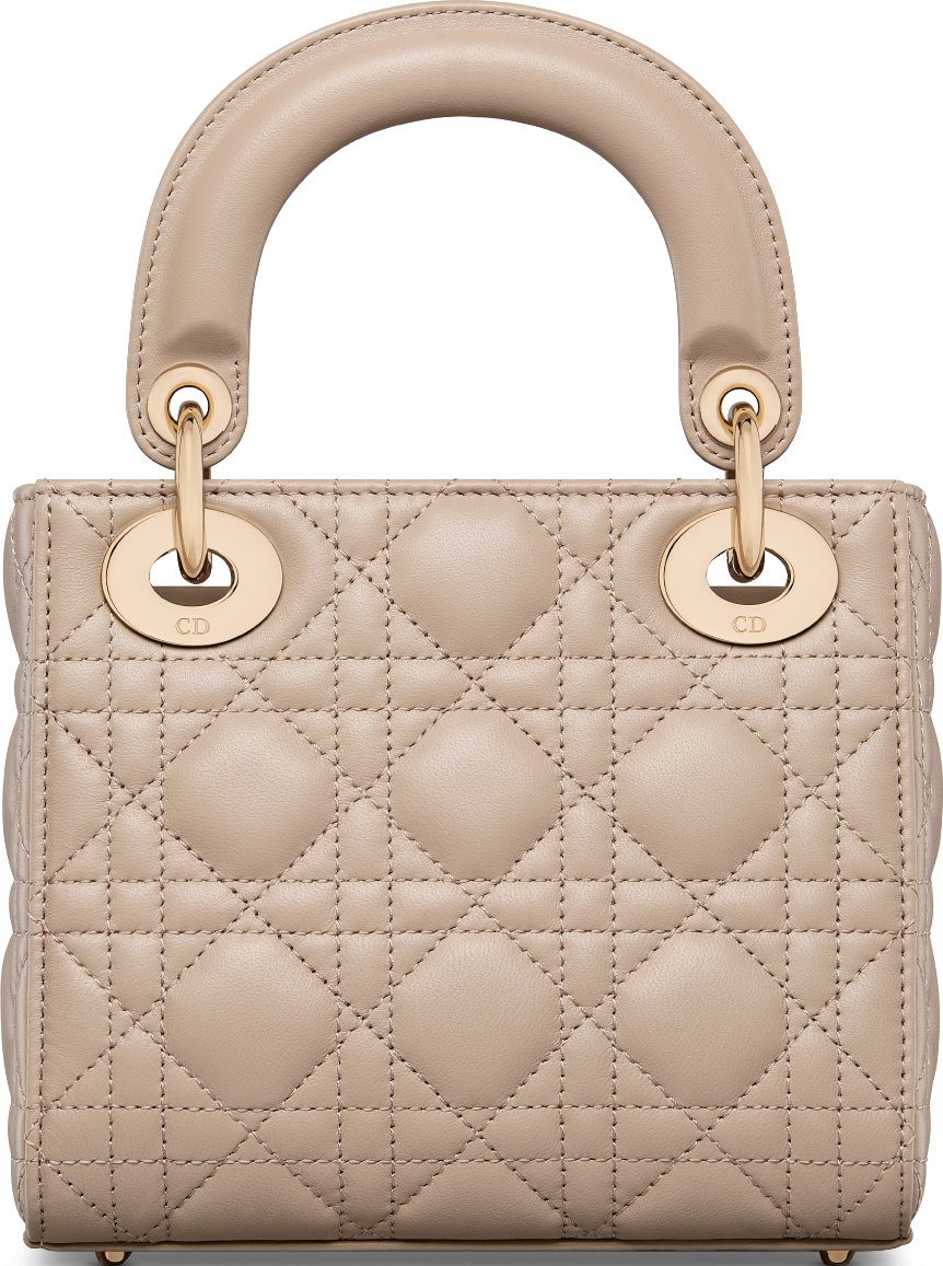 Mini Lady Dior Bag Back view