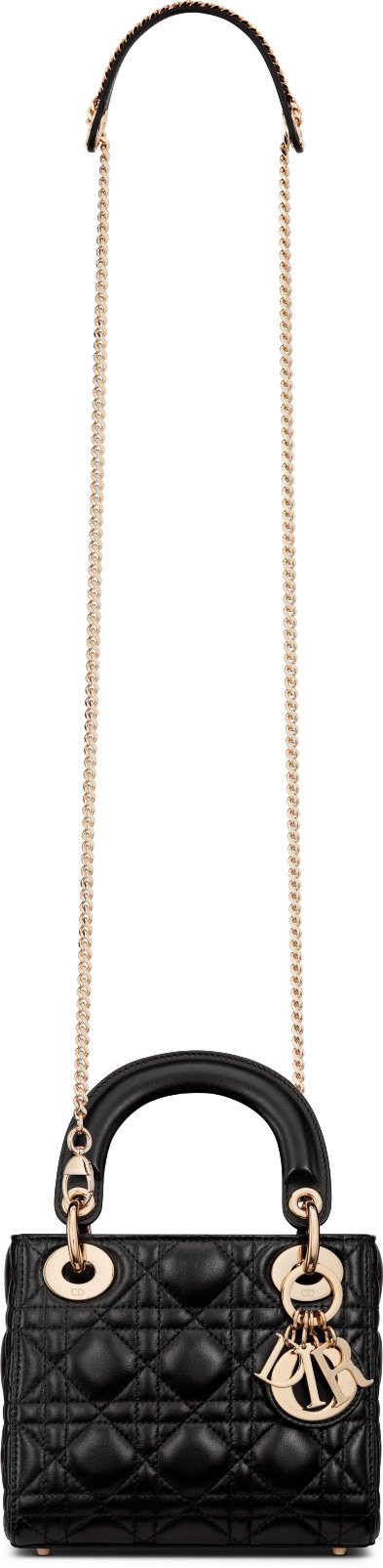 Lady mini dior bag top