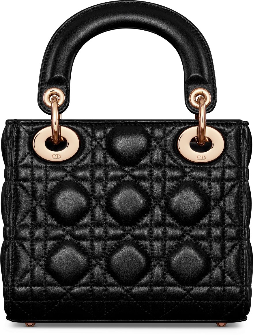 Sac Lady Dior Mini Dioramour Vue arrière