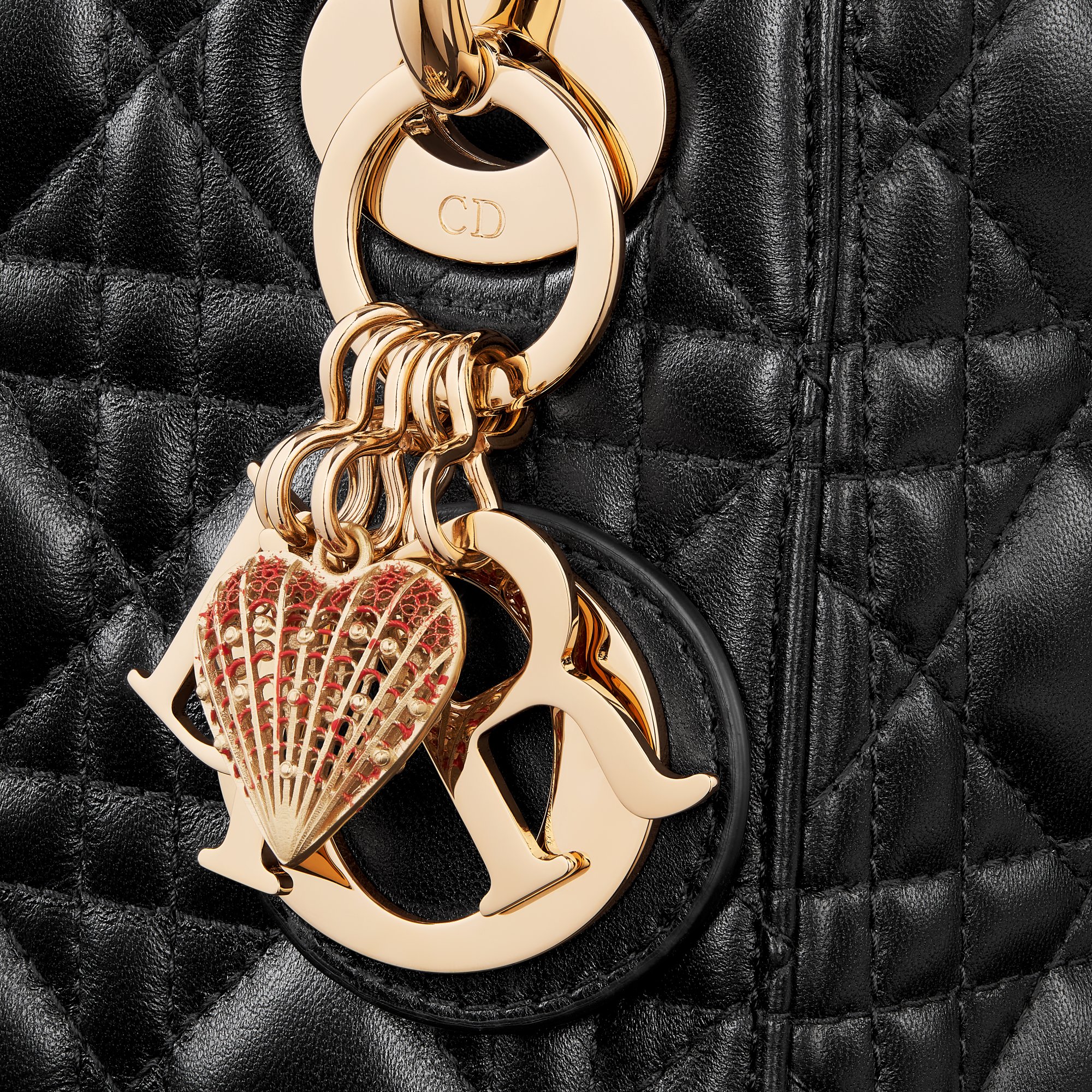 Sac Lady Dior Mini Dioramour Vue détaillée