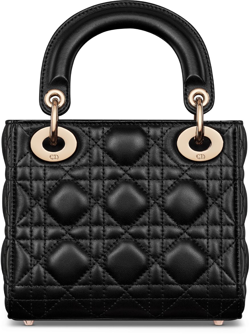 Bolsa Lady Dior míni aria_backView