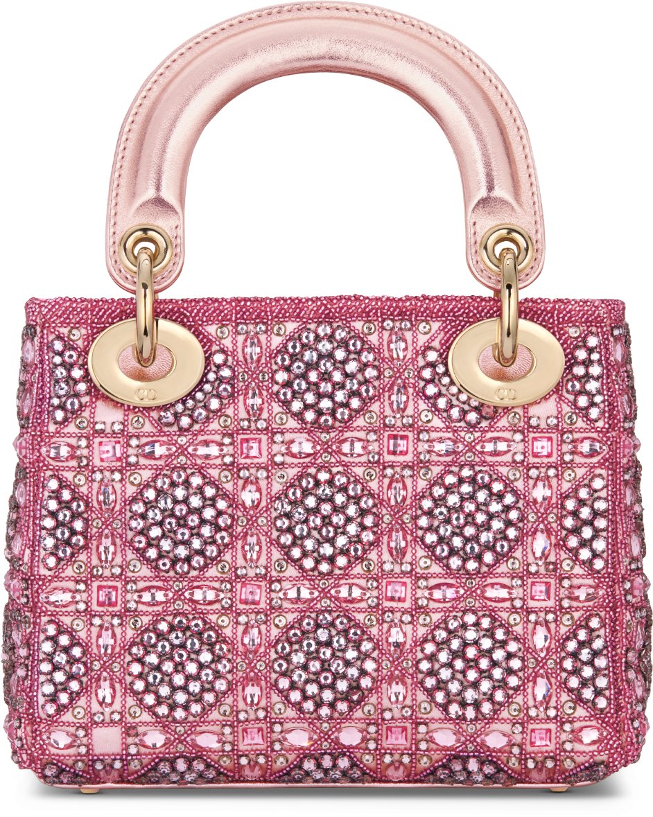 Mini Lady Dior Bag Back view