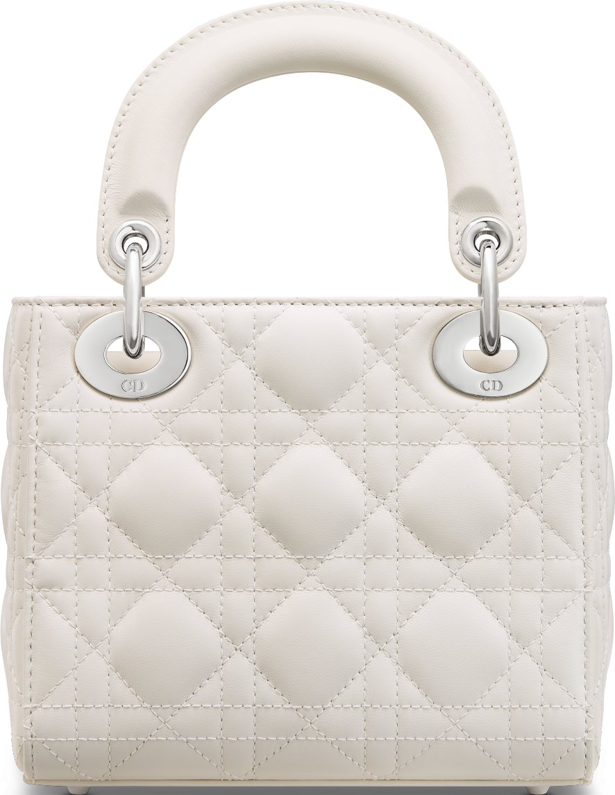 Mini Lady Dior Bag Back view