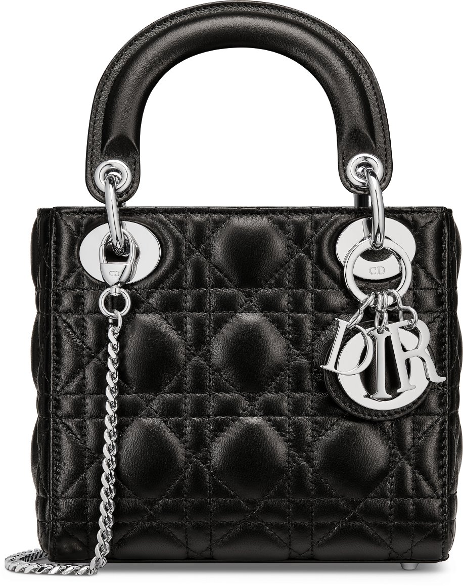 Lambskin dior top