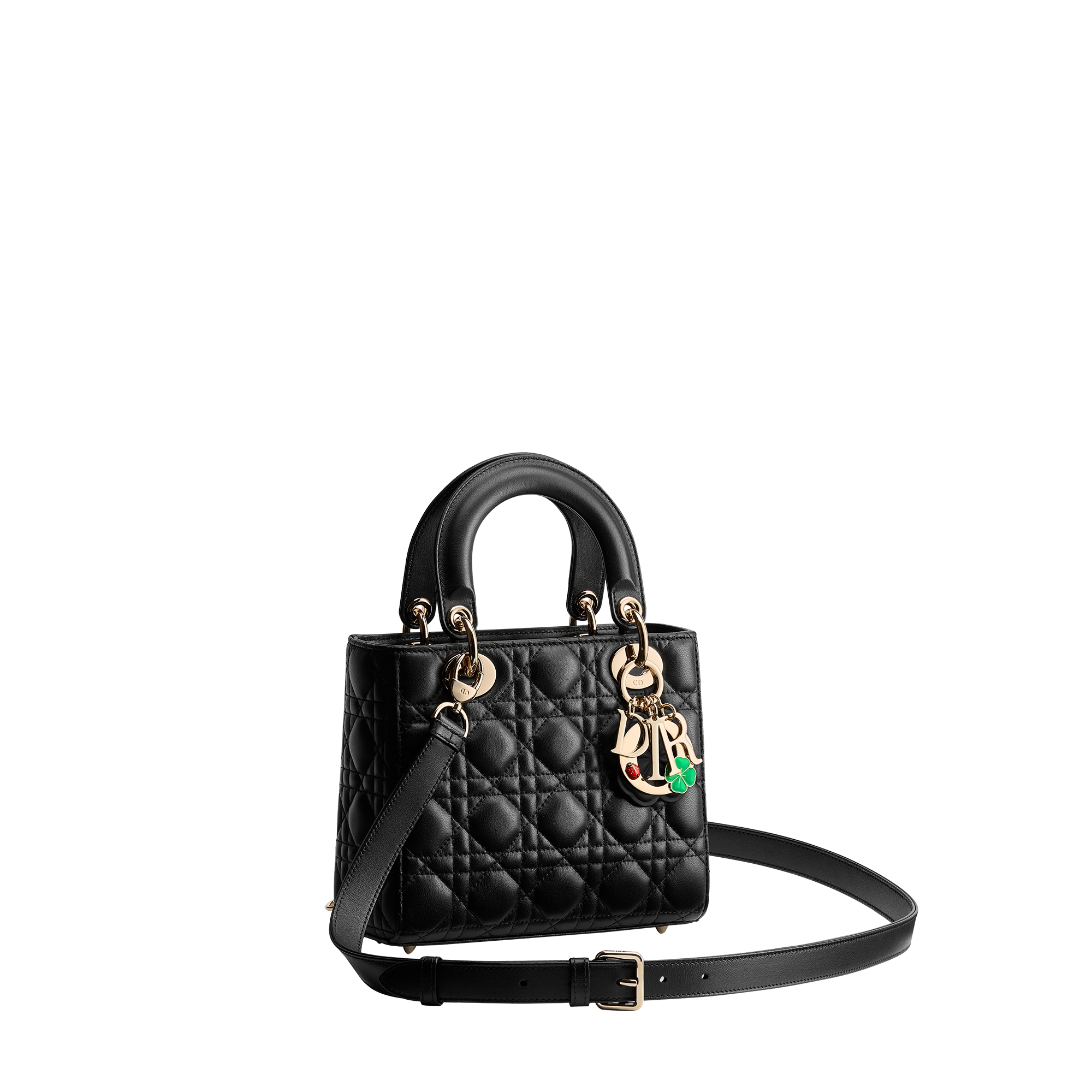 Small Lady Dior Bag with Strap Black Cannage Lambskin E03