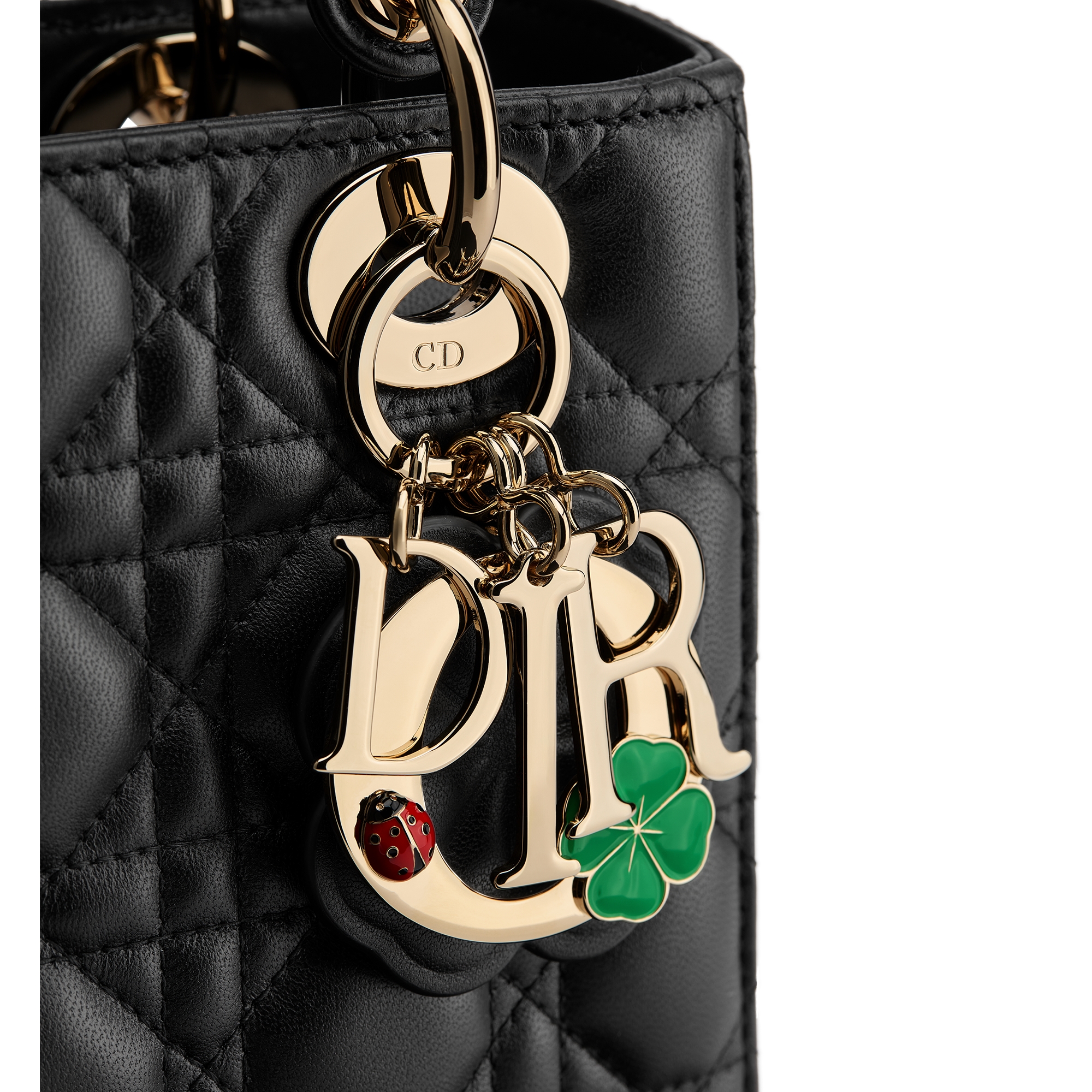 Small Lady Dior Bag with Strap Black Cannage Lambskin E09