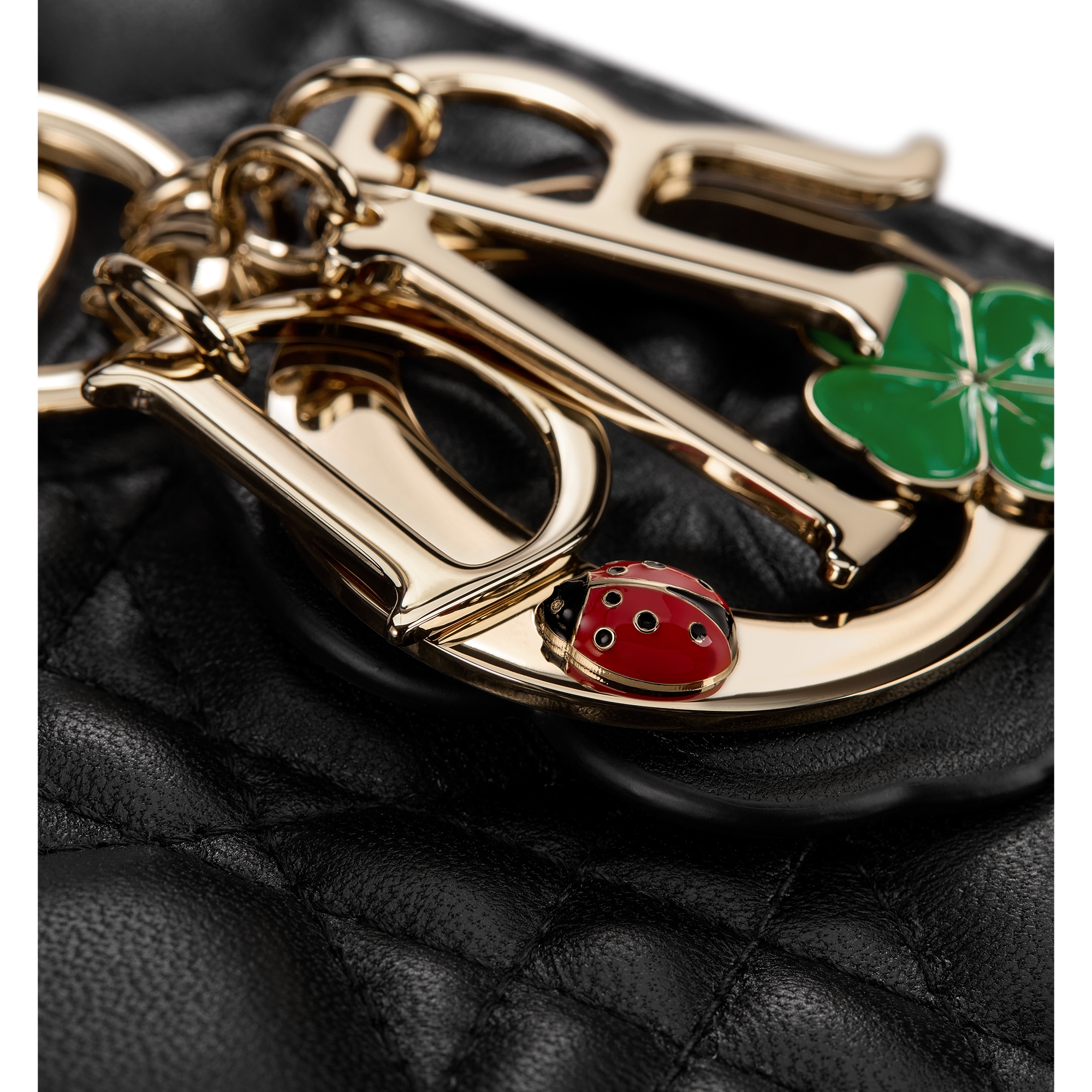 Small Lady Dior Bag with Strap Black Cannage Lambskin E12