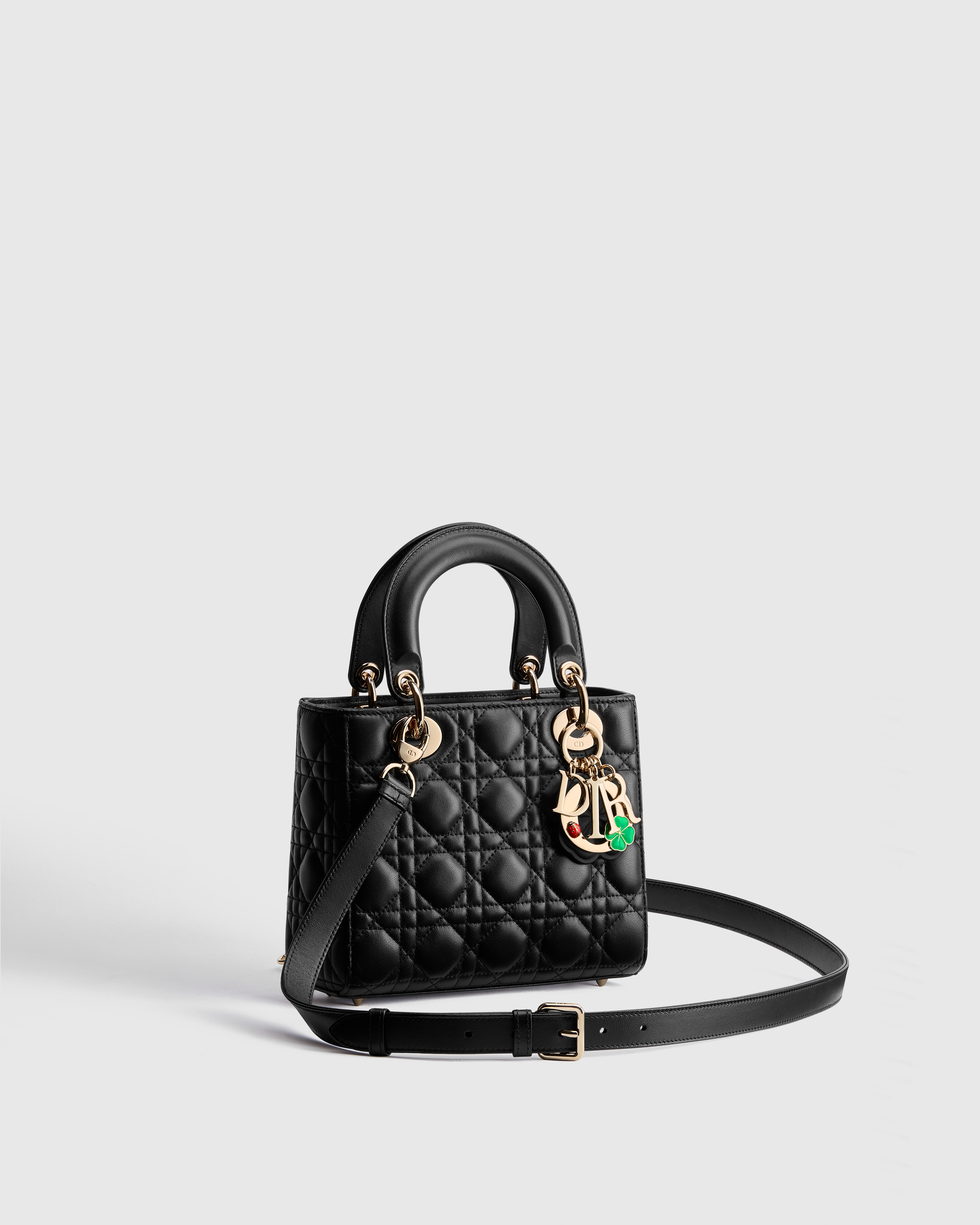 Small Lady Dior Bag with Strap Black Cannage Lambskin E03