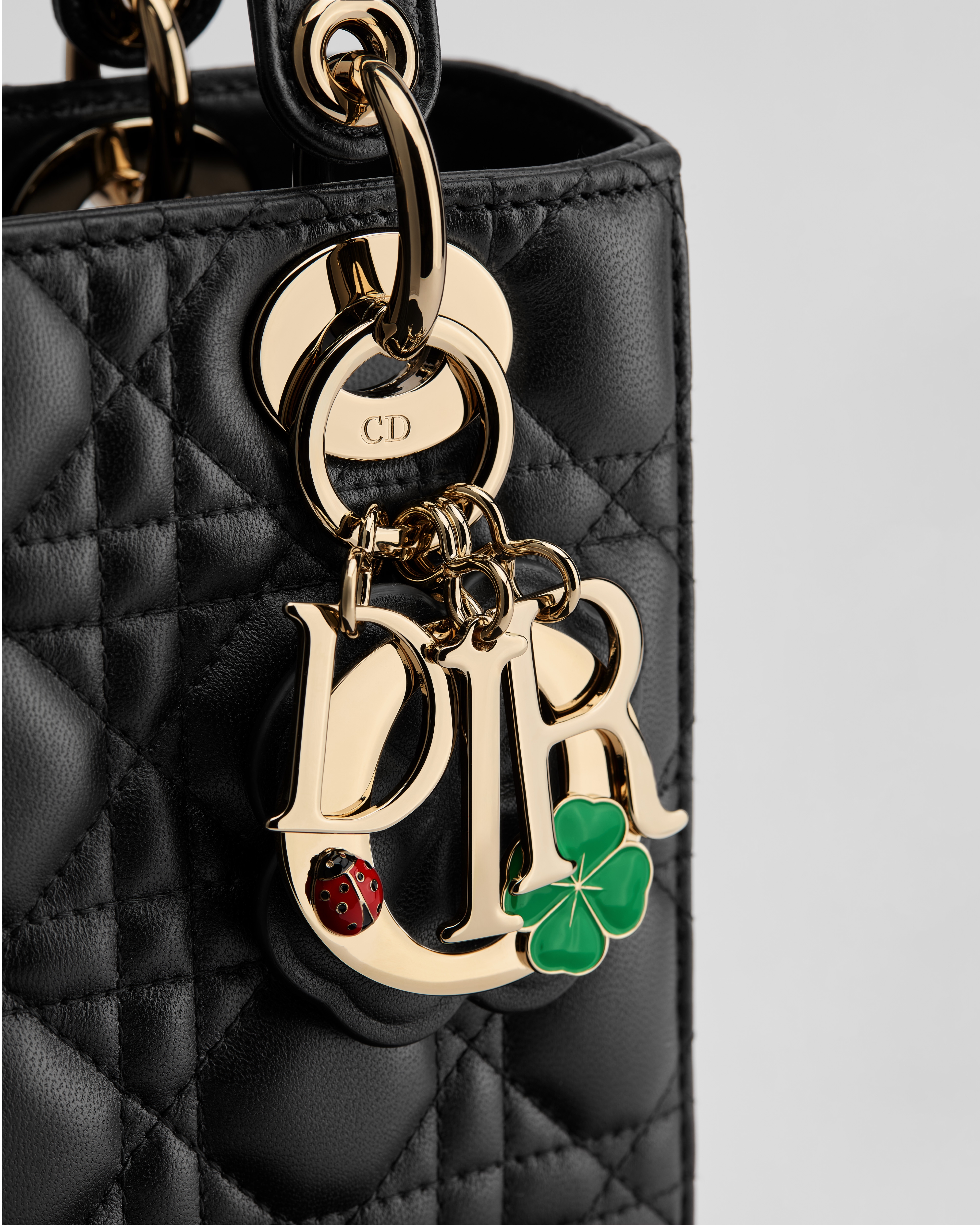 Small Lady Dior Bag with Strap Black Cannage Lambskin E09