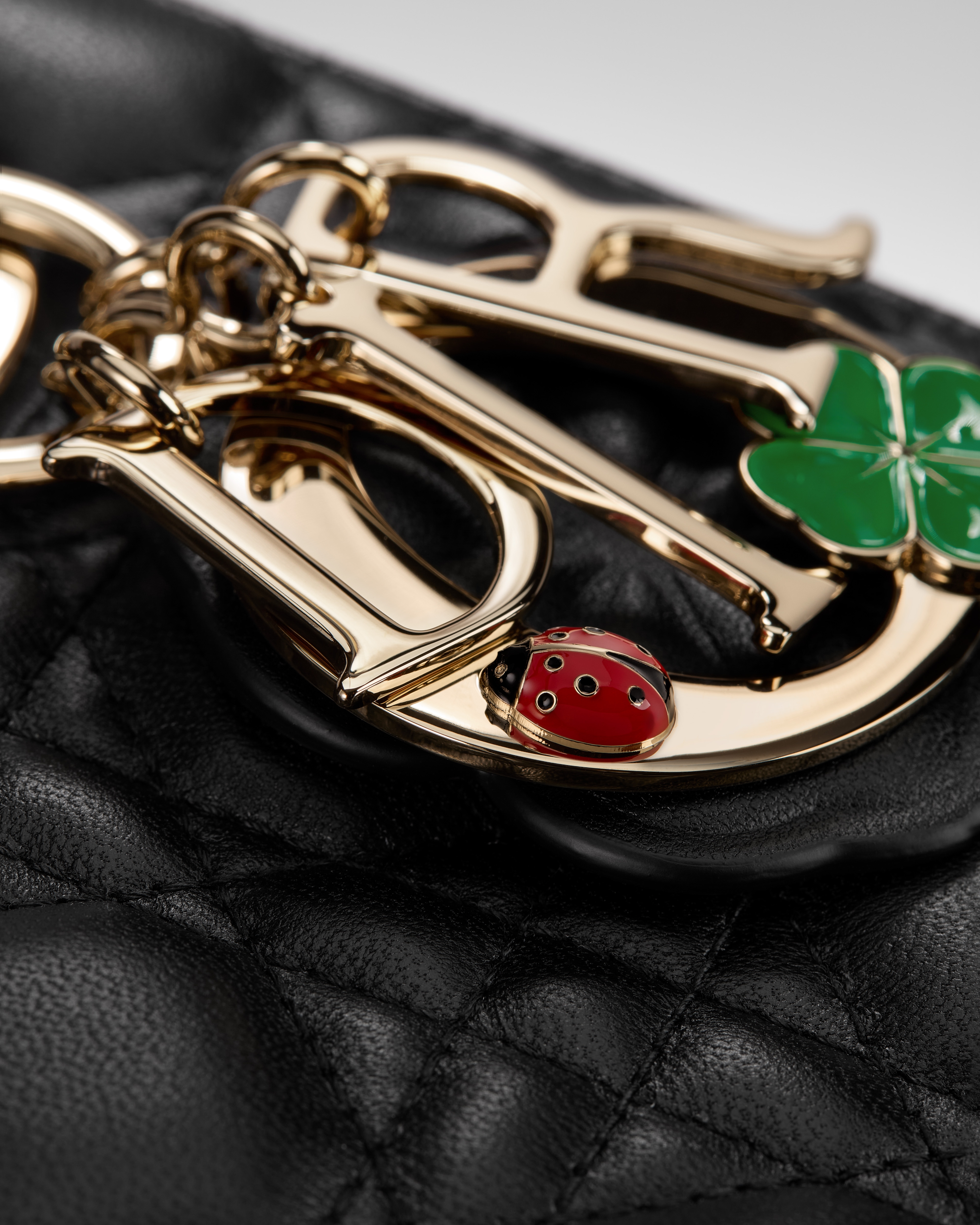 Small Lady Dior Bag with Strap Black Cannage Lambskin E12