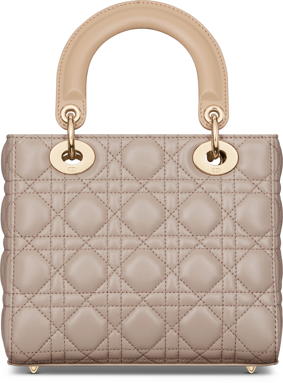 Dior lady bag 2019 online
