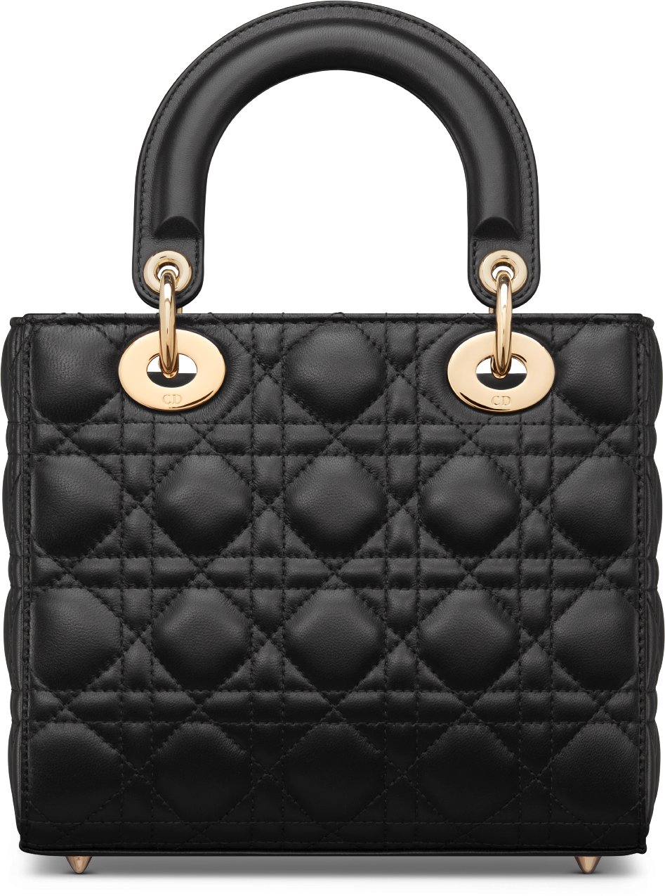 Dioramour 小碼 Lady Dior 手袋 aria_backView