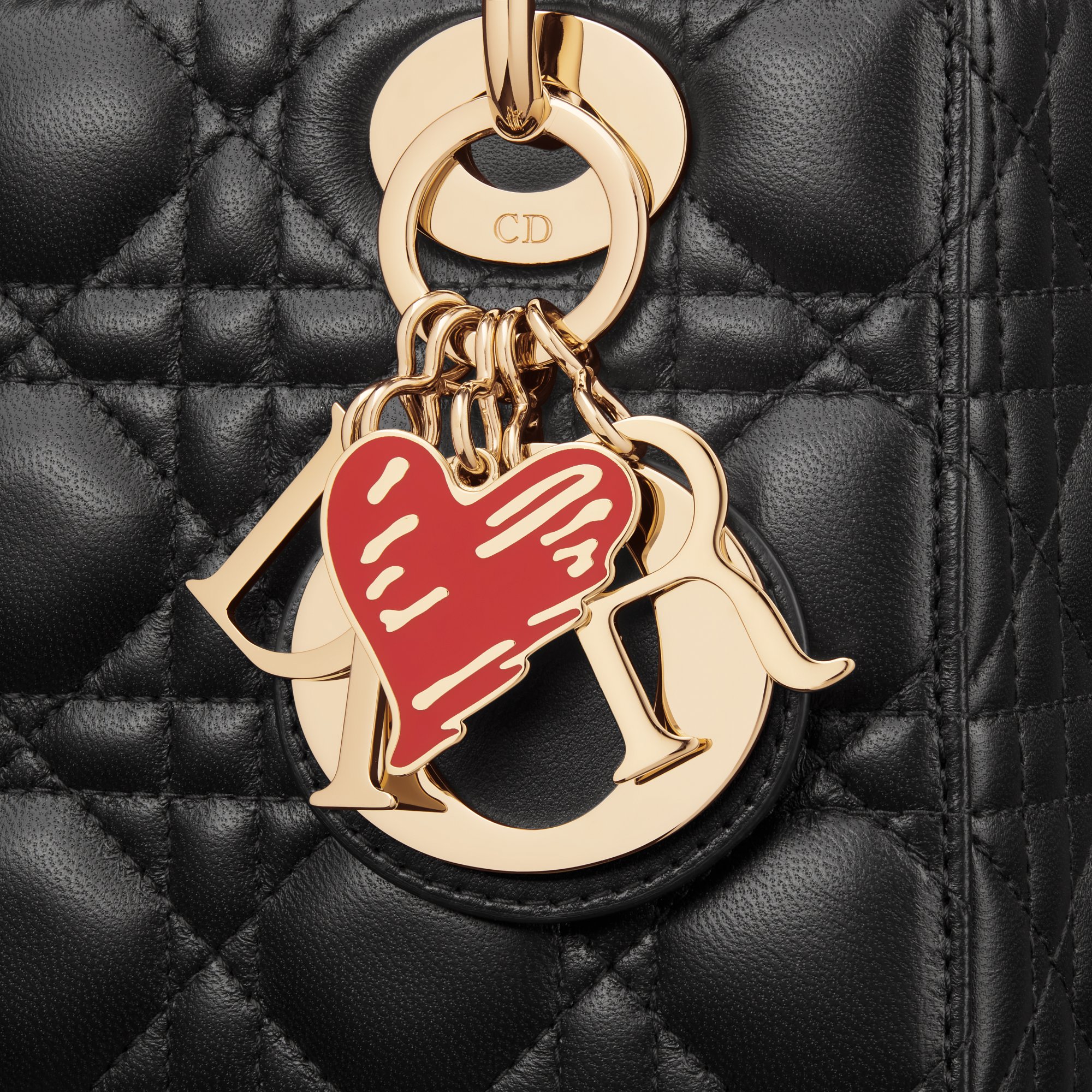 Dioramour 小碼 Lady Dior 手袋 aria_detailedView