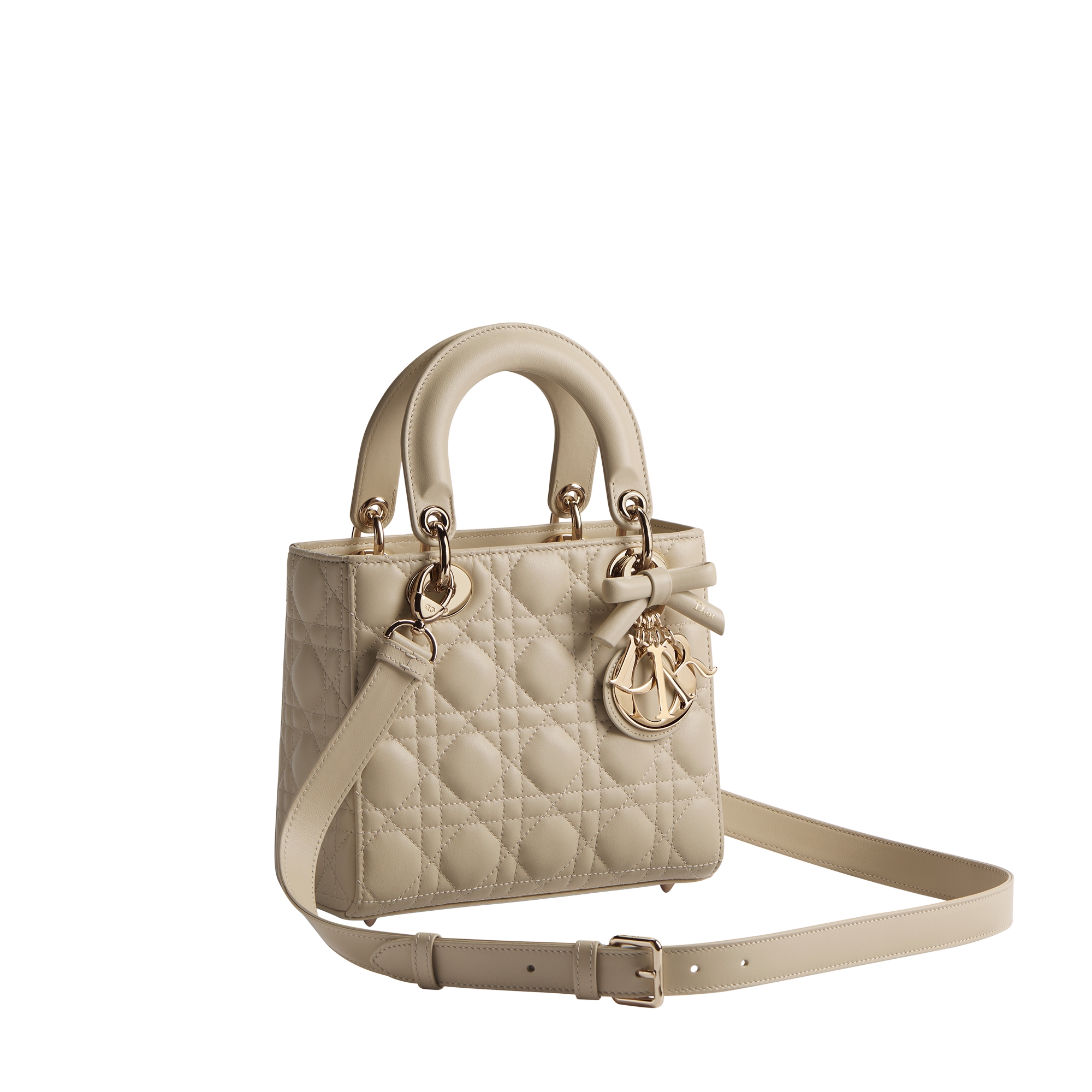 Small Lady Dior Bag with Strap Trench Cannage Lambskin E03