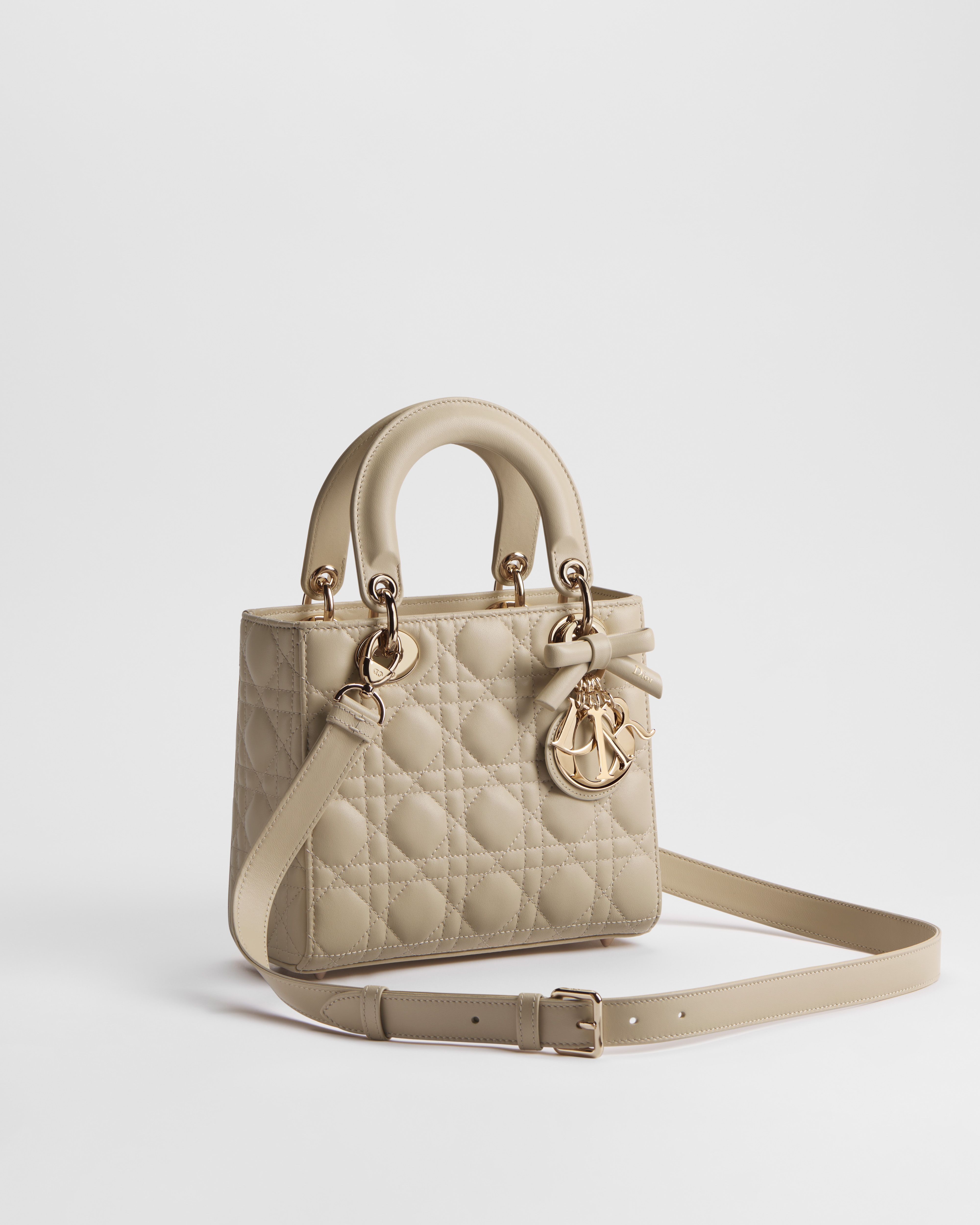 Small Lady Dior Bag with Strap Trench Cannage Lambskin E03