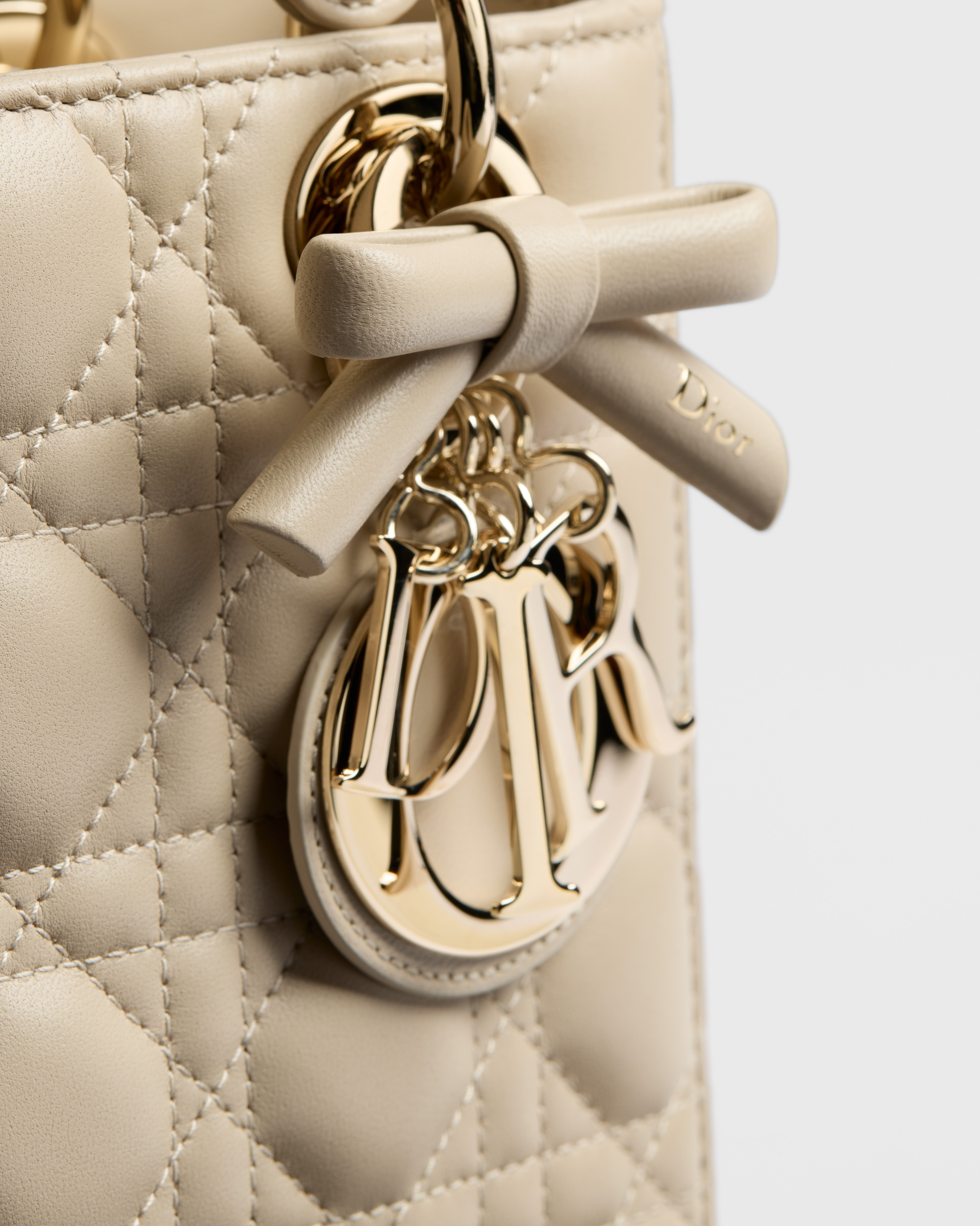 Small Lady Dior Bag with Strap Trench Cannage Lambskin E09