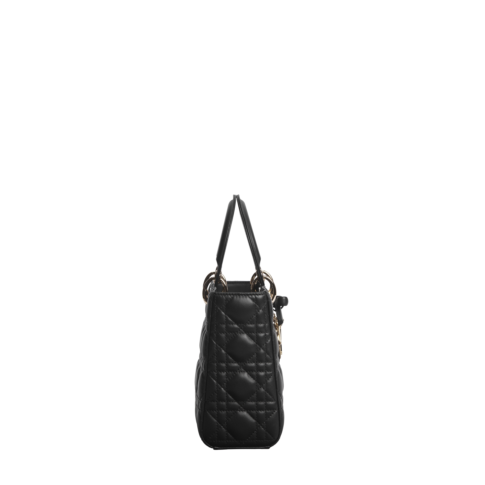 Small Lady Dior Bag with Strap Black Cannage Lambskin E02