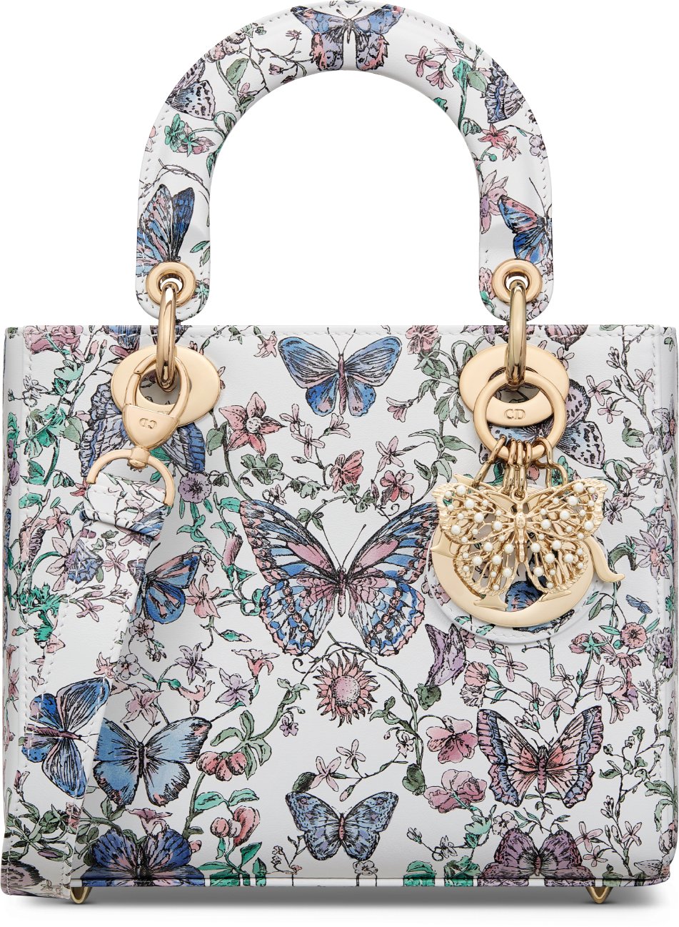 Small Lady Dior Bag Front view Front view