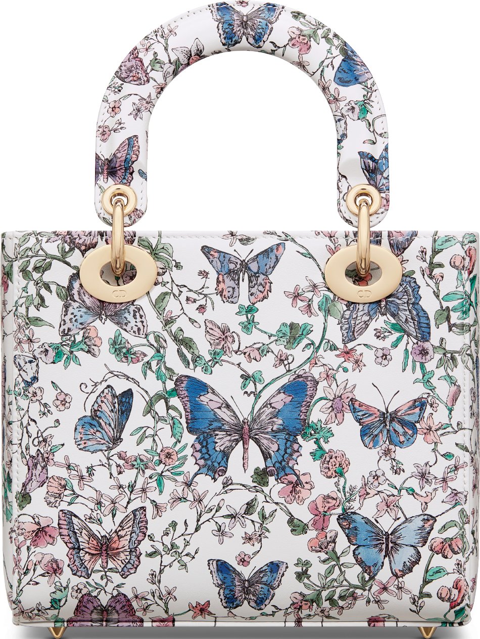 Kleine Lady Dior Tasche aria_backView
