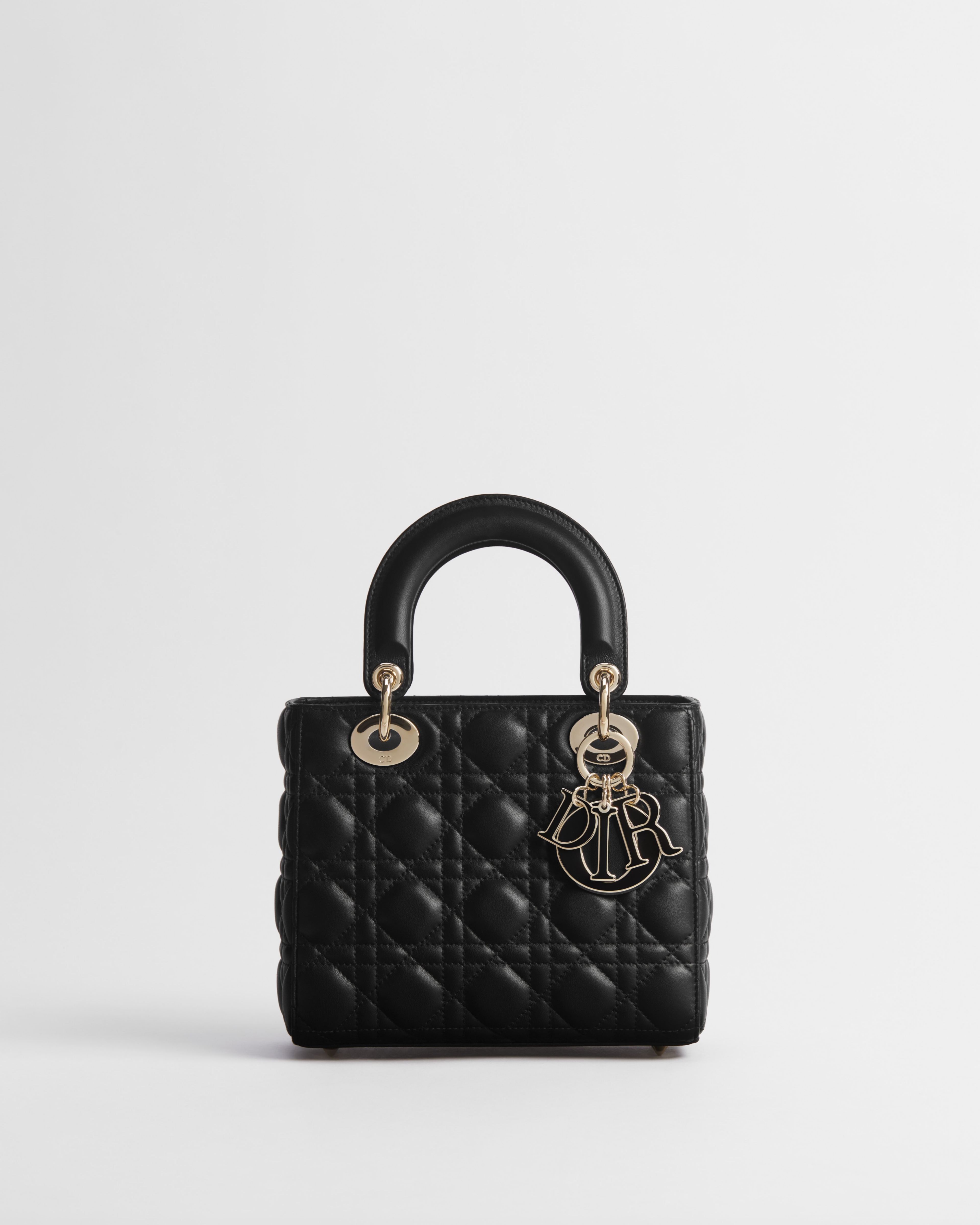 Small Lady Dior My ABCDior Bag