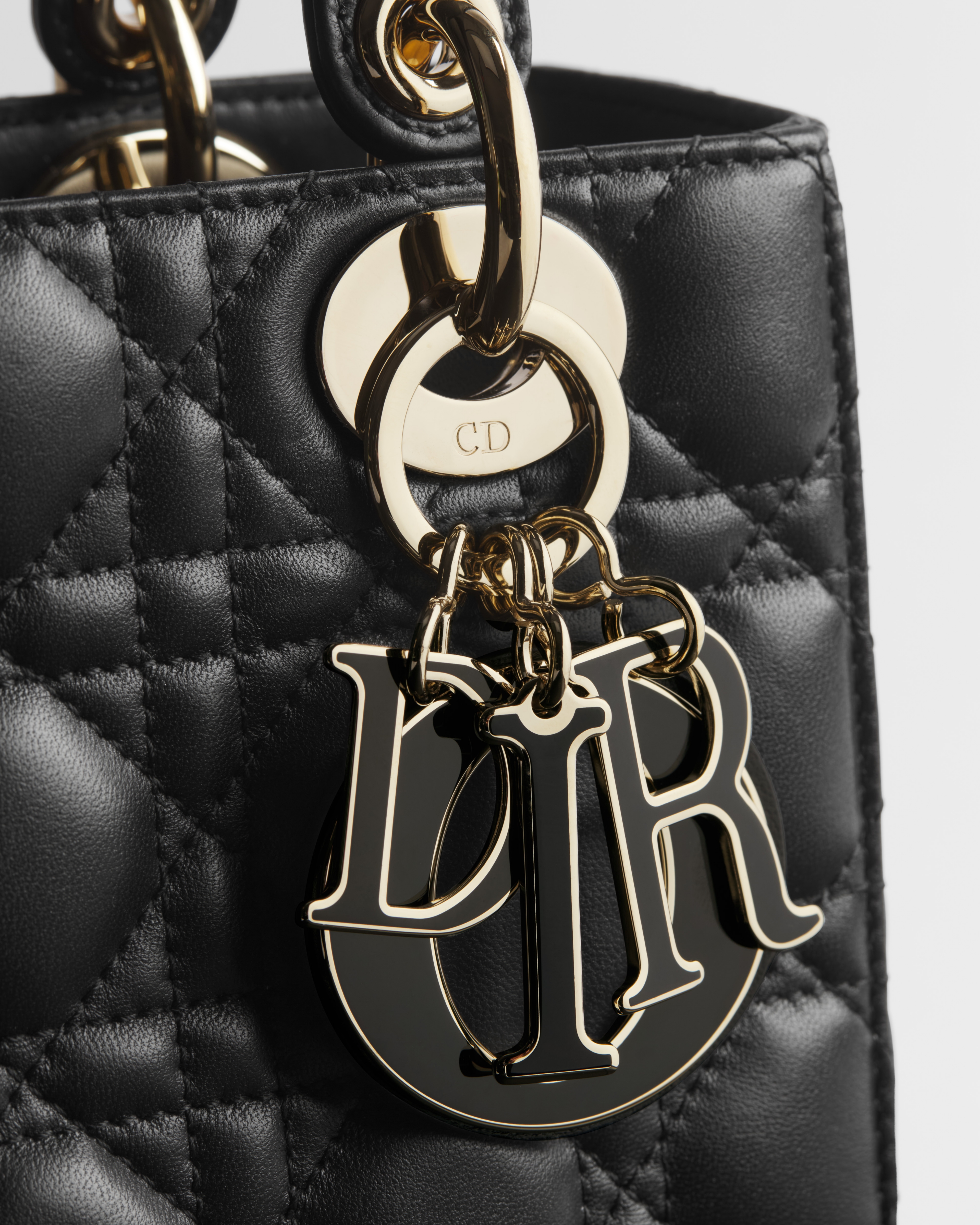 Small Lady Dior My ABCDior Bag