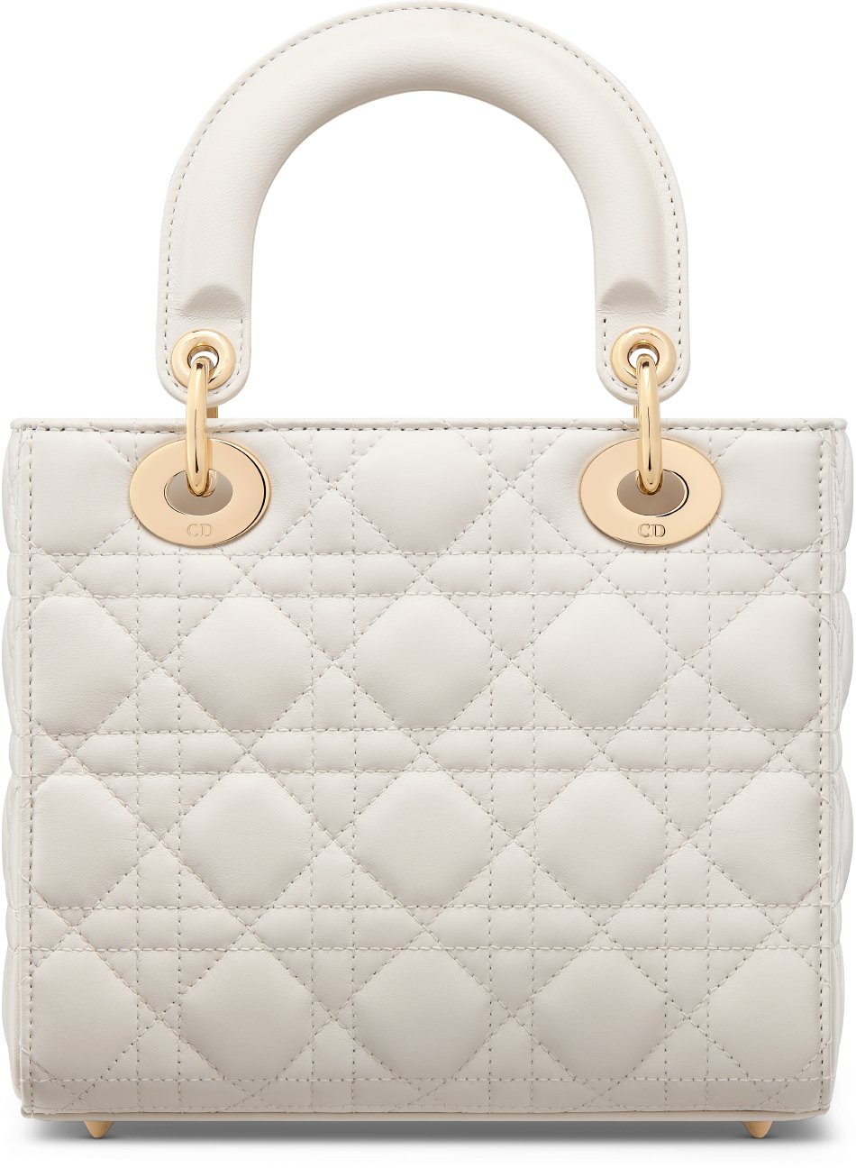 Small Lady Dior My ABCDior Bag Back view