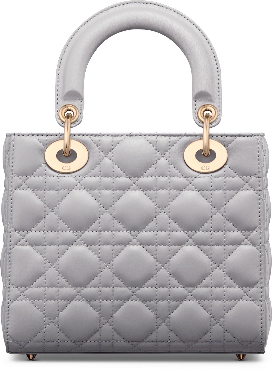 Small Lady Dior My ABCDior Bag Back view
