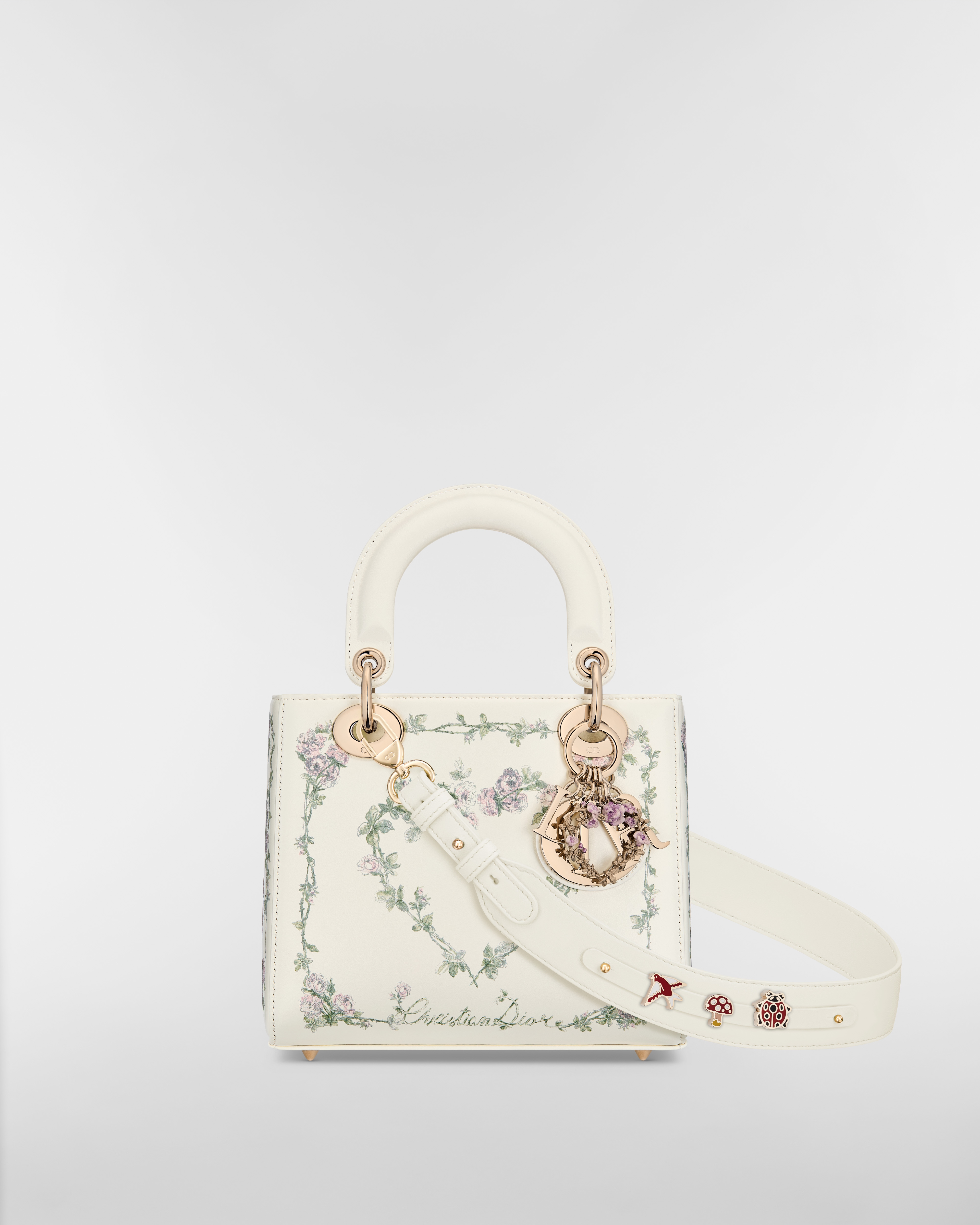 Small Lady Dior My ABCDior Bag