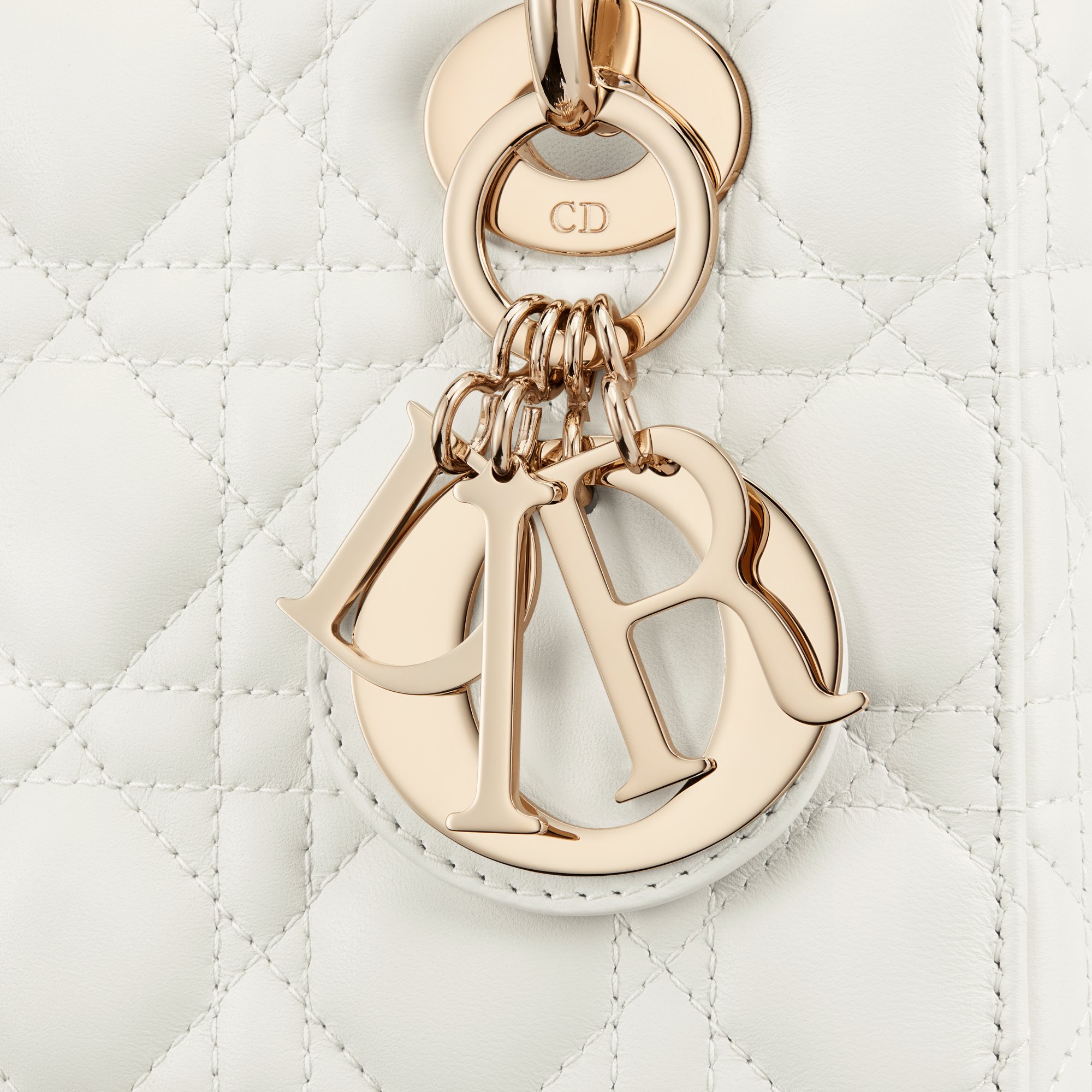 Small Lady Dior My ABCDior Bag Detailed view