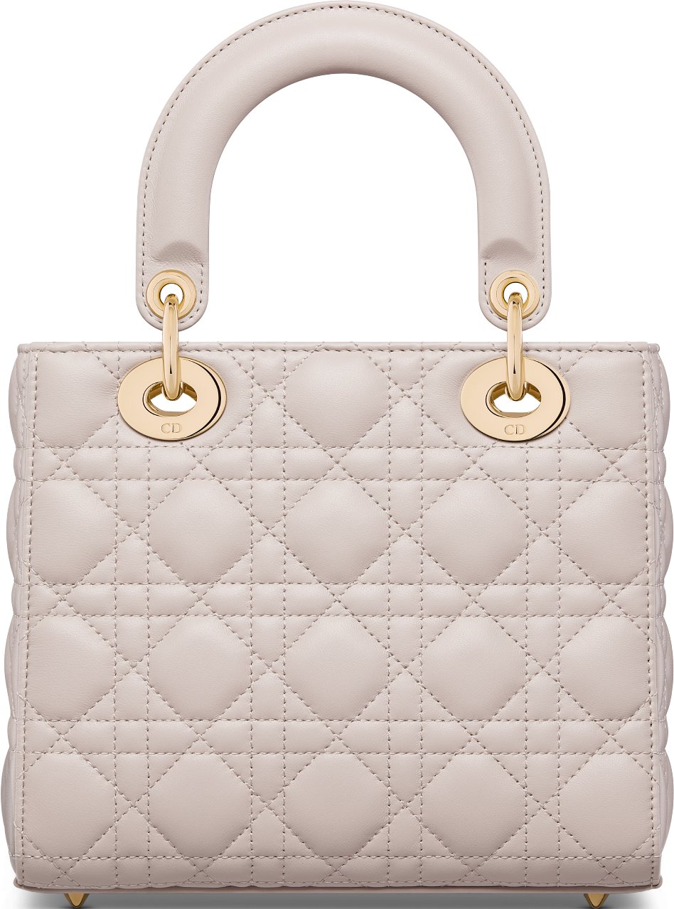 Small Lady Dior My ABCDior Bag Back view