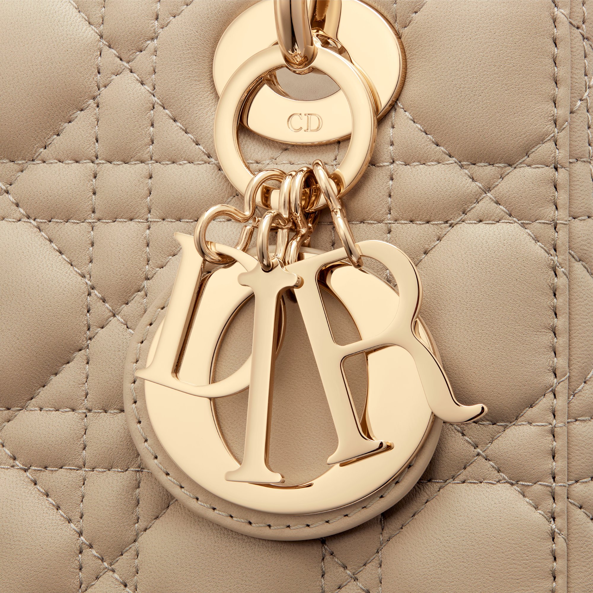 Small Lady Dior My ABCDior Bag Detailed view