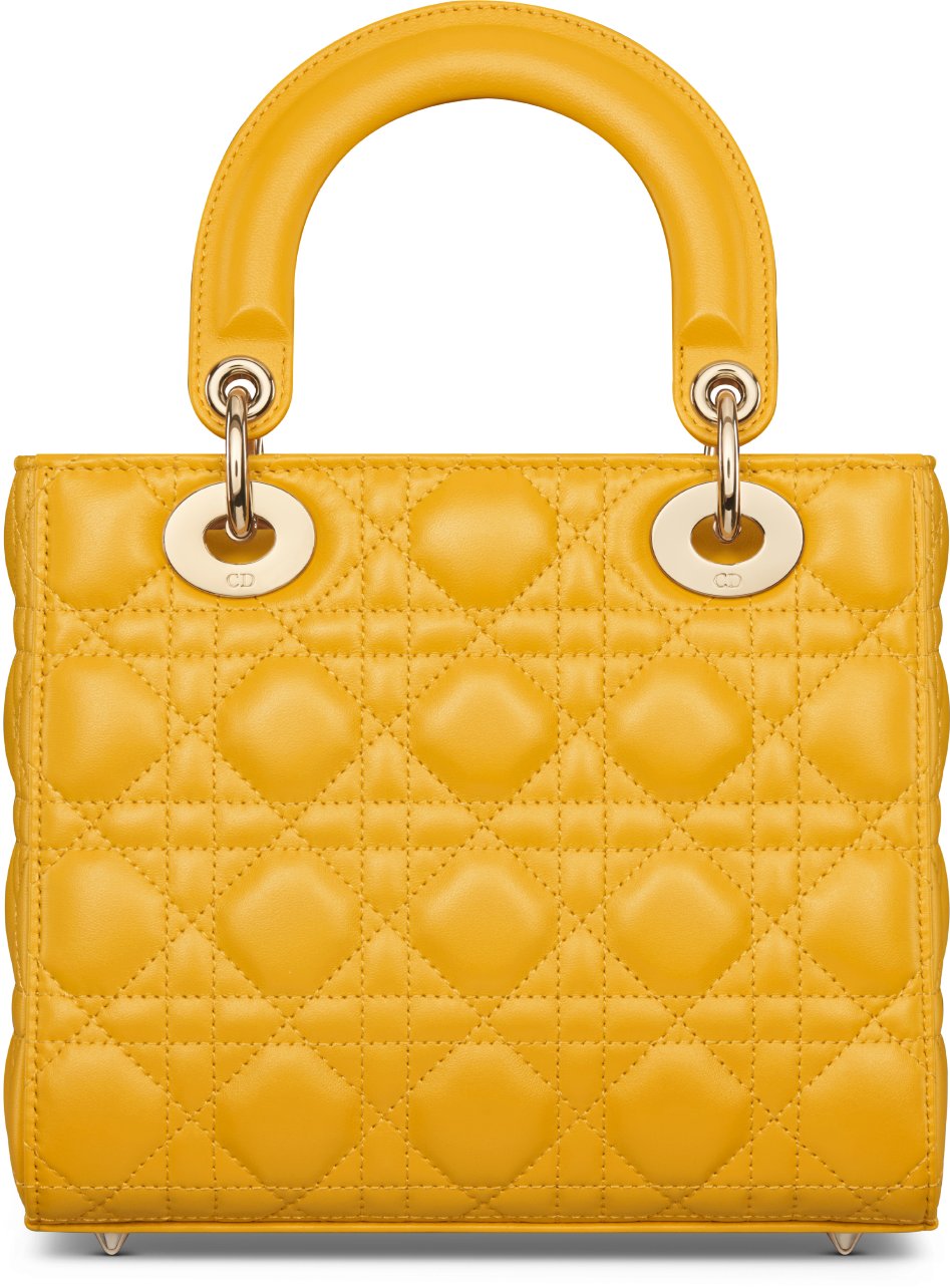 Small Lady Dior My ABCDior Bag Back view