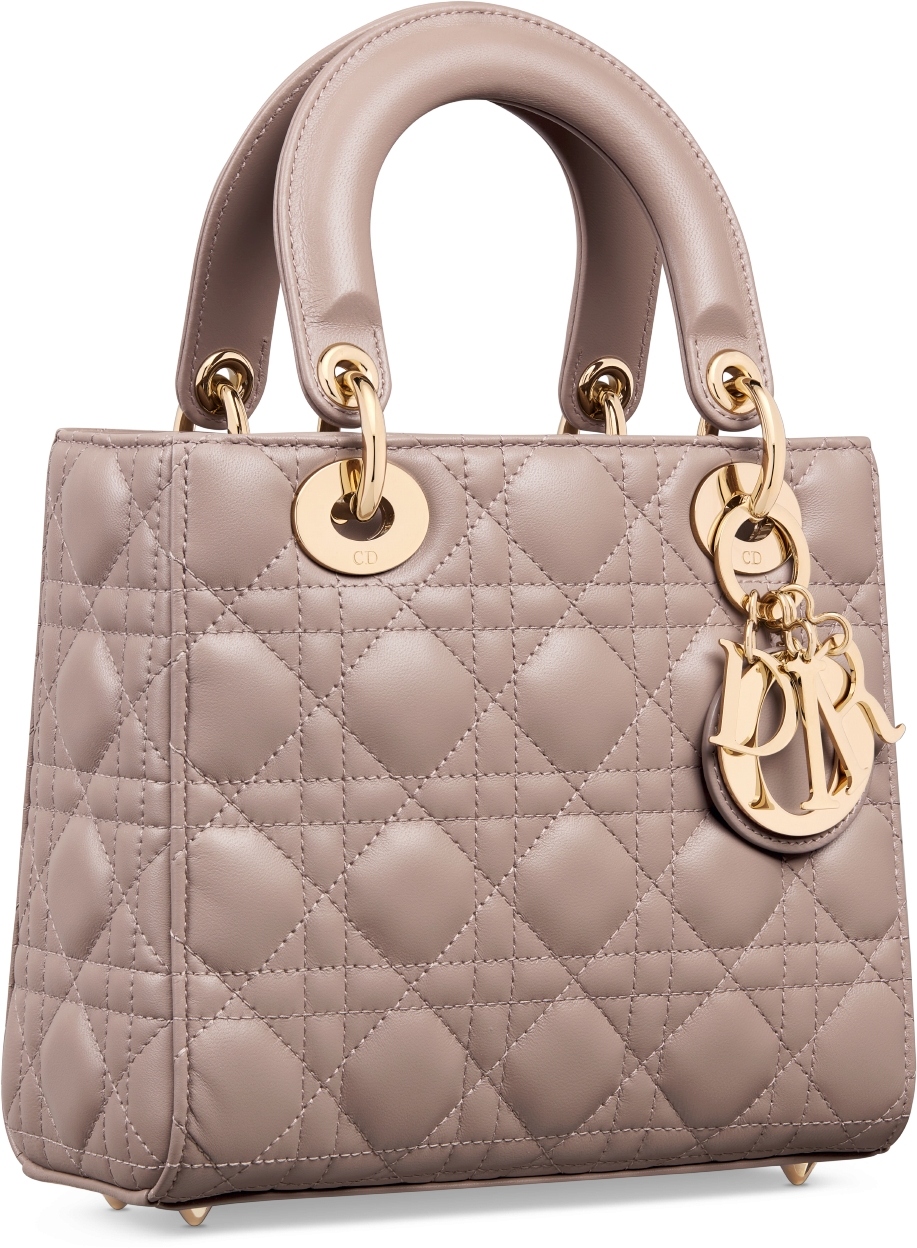 Dior my lady bag hotsell