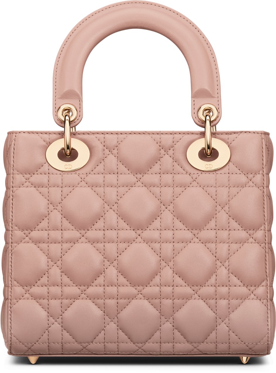 Small Lady Dior My ABCDior Bag Back view