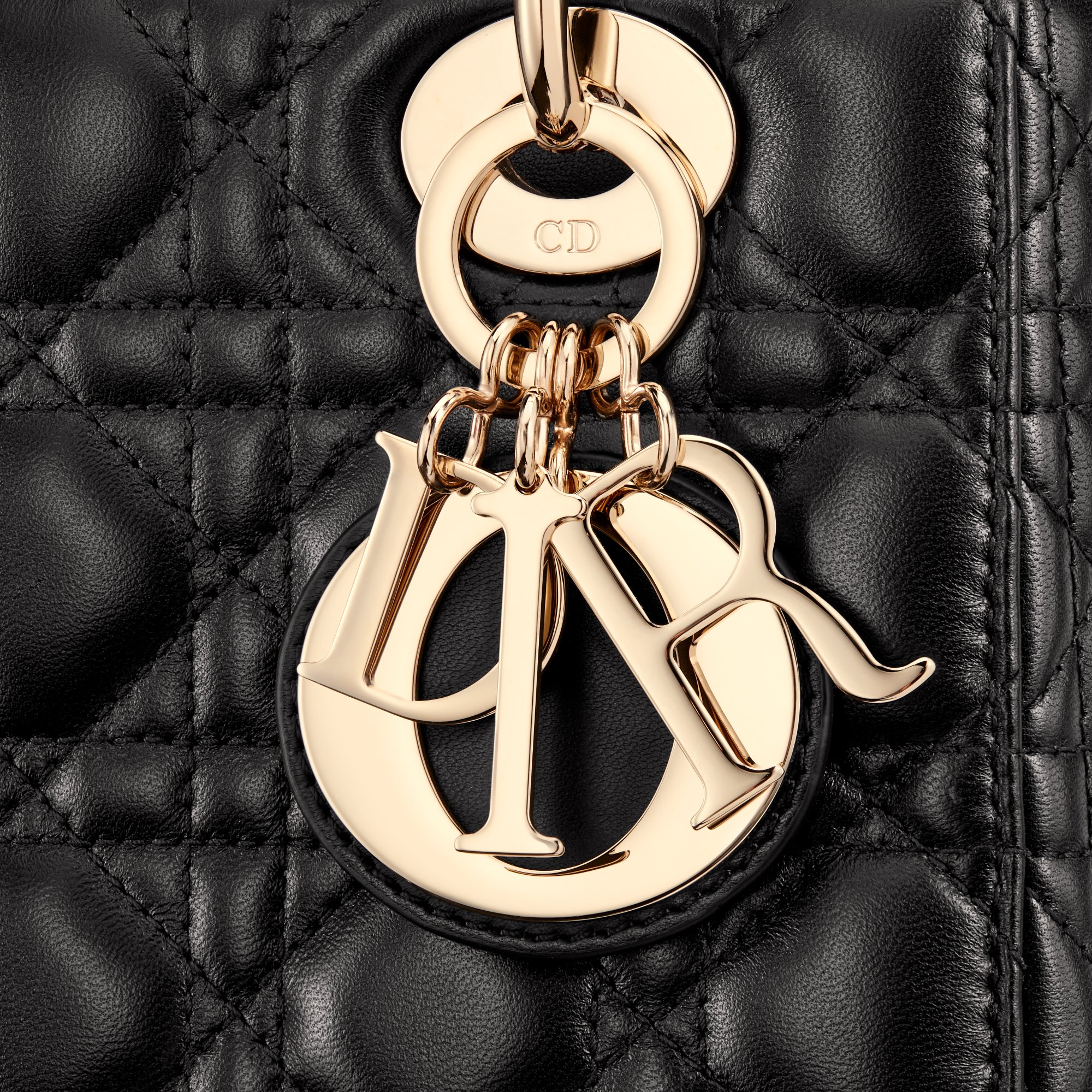Small Lady Dior My ABCDior Bag