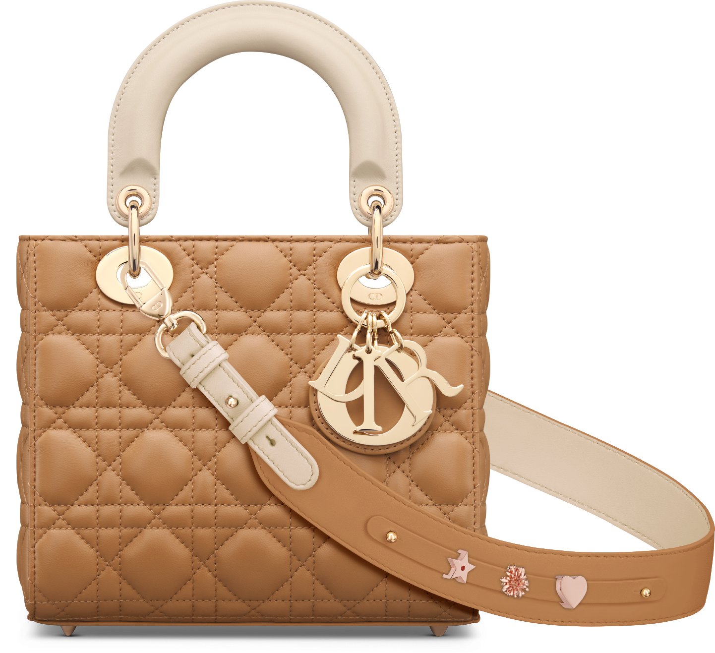 Christian dior lady bag sales