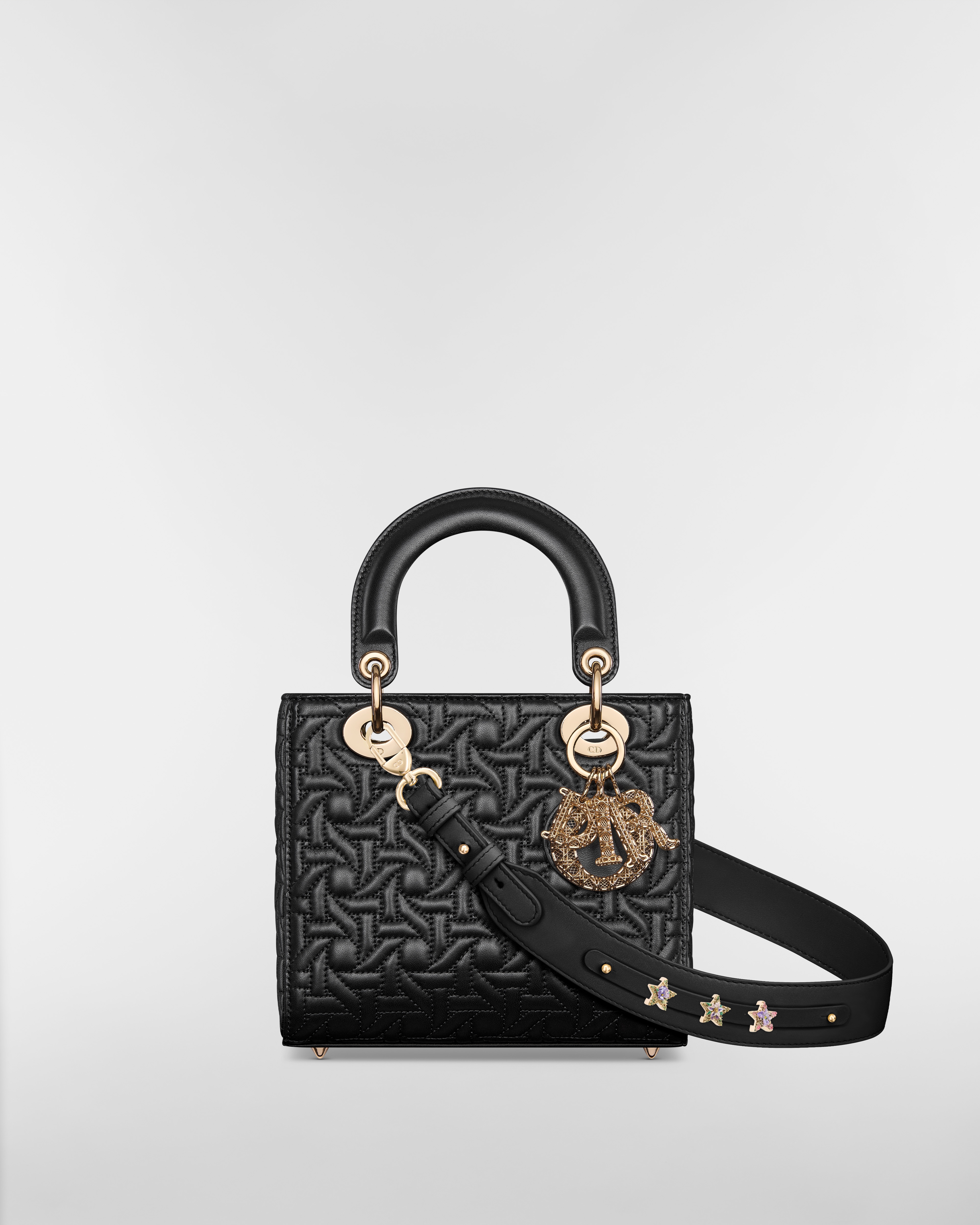 Small Lady Dior My ABCDior Bag