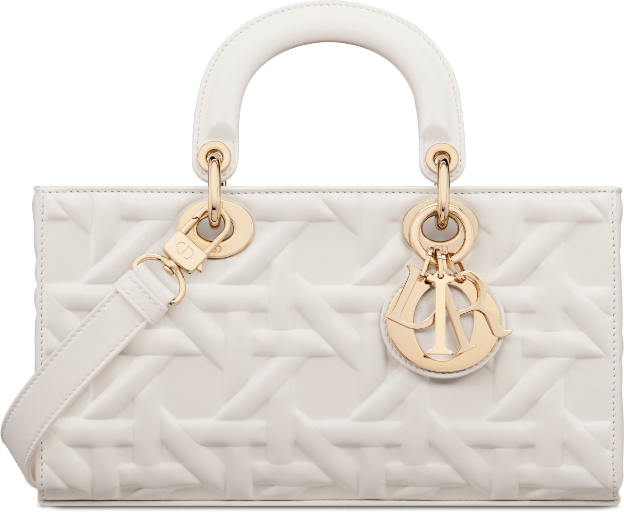 DIOR | Lady D-Joy バッグ ミディアム グラフィック カナージュ カーフスキン