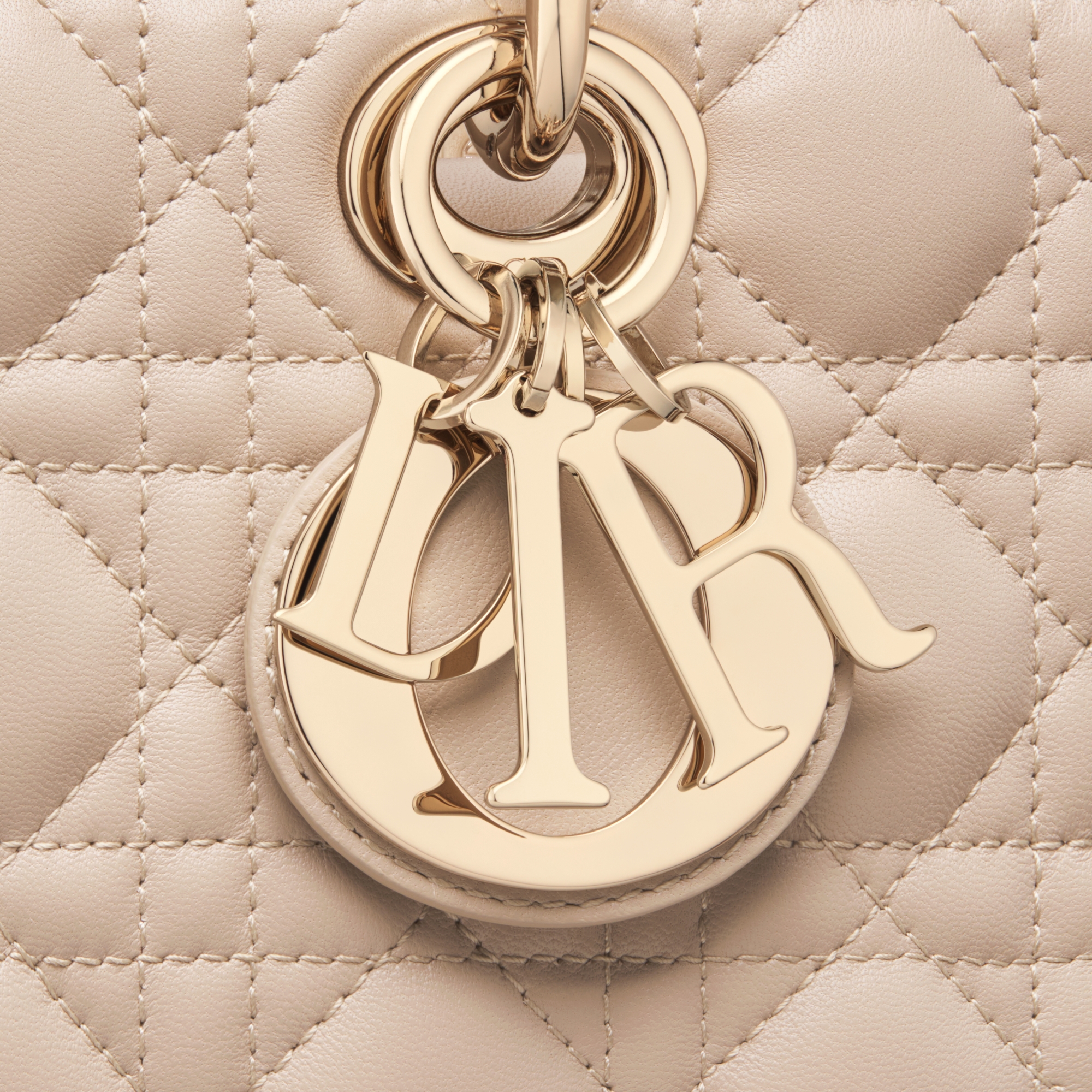 Lady D-Joy バッグ ミディアム カナージュ ラムスキン E09